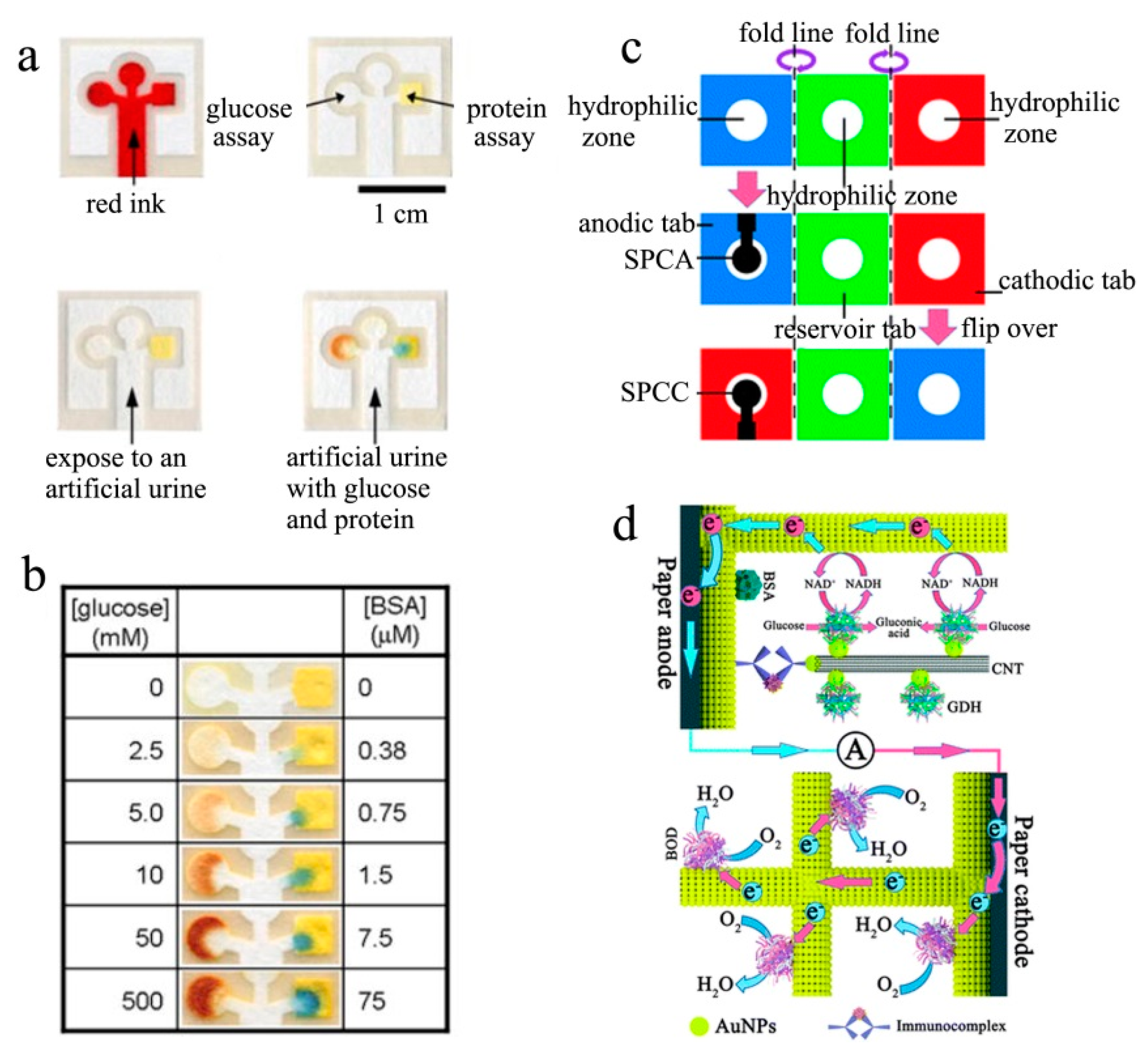 Biosensors 13 00175 g001
