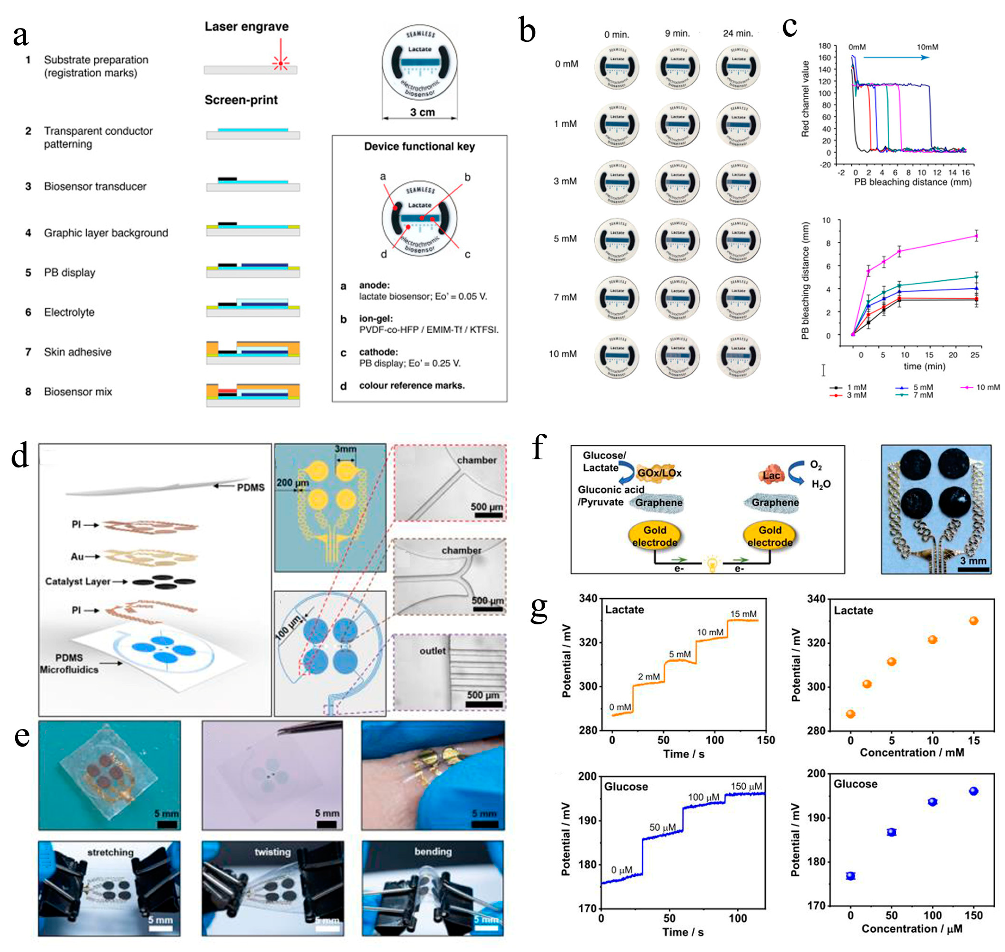 Biosensors 13 00175 g005
