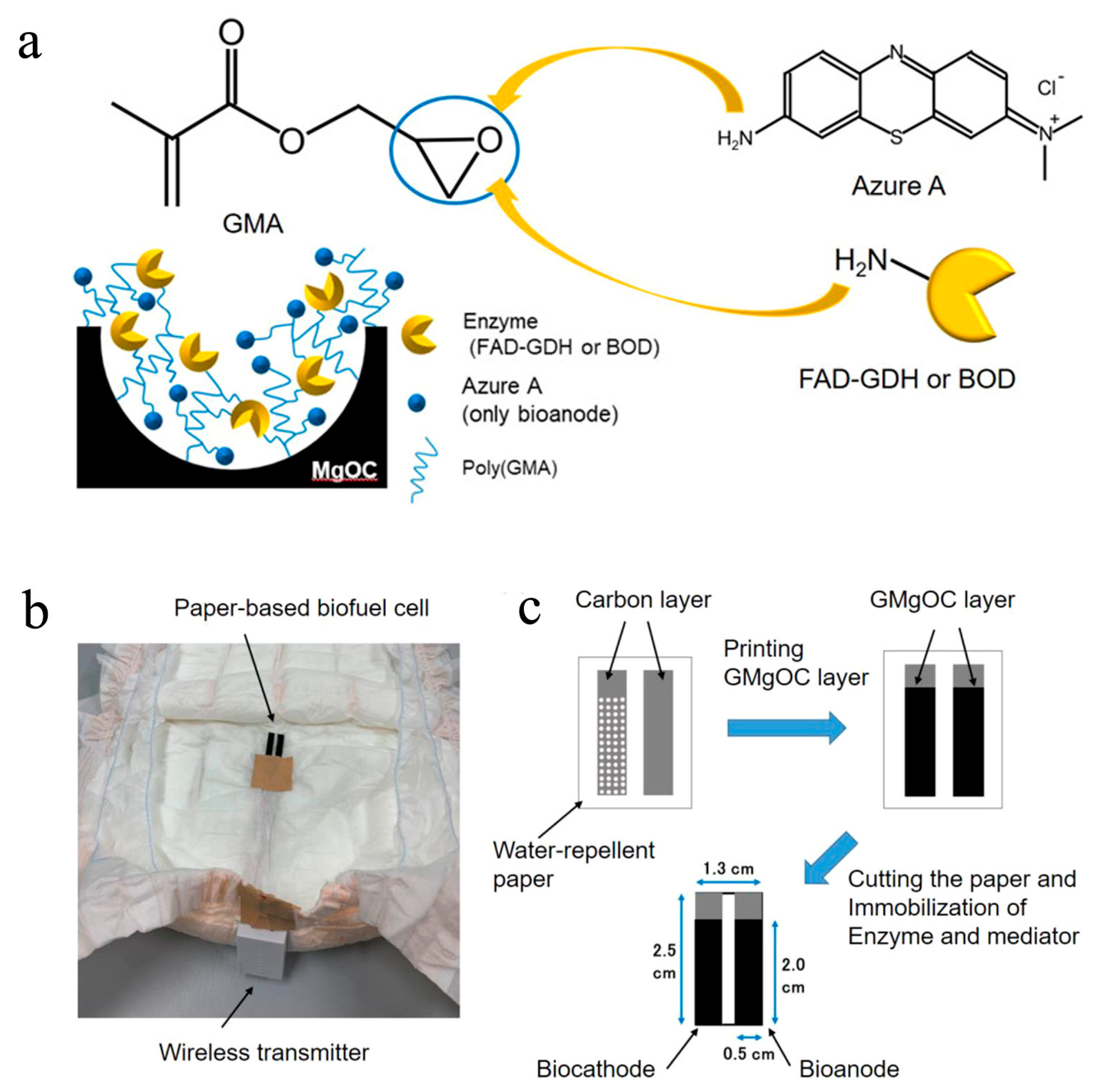 Biosensors 13 00175 g007
