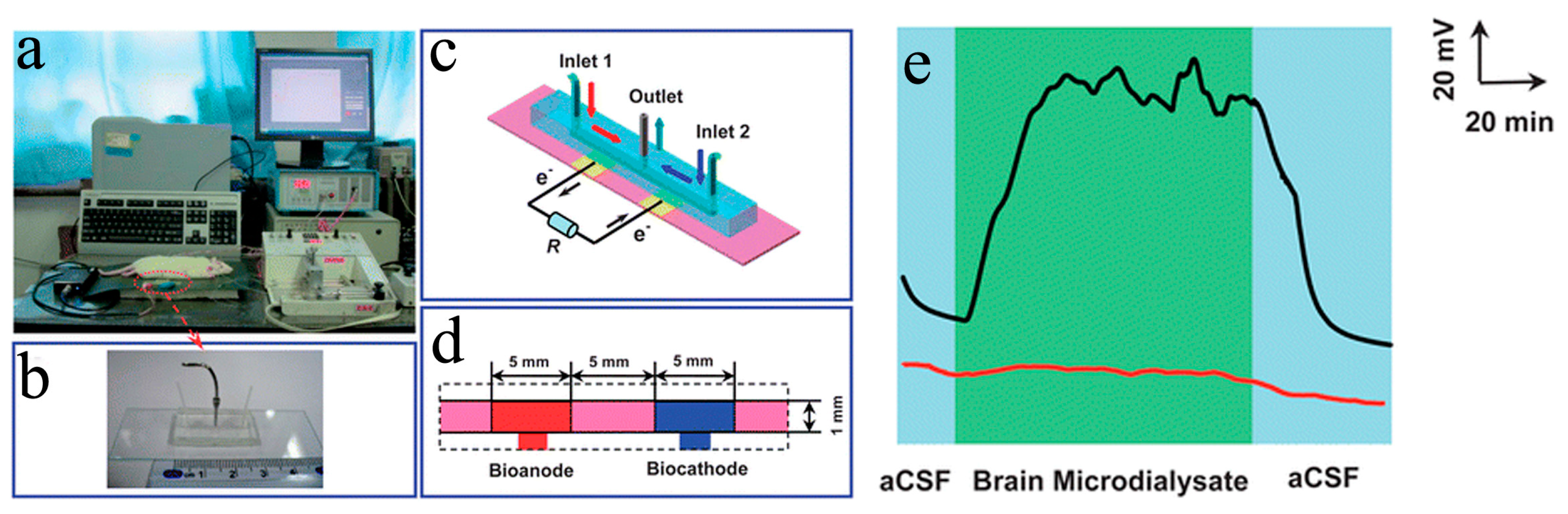 Biosensors 13 00175 g009