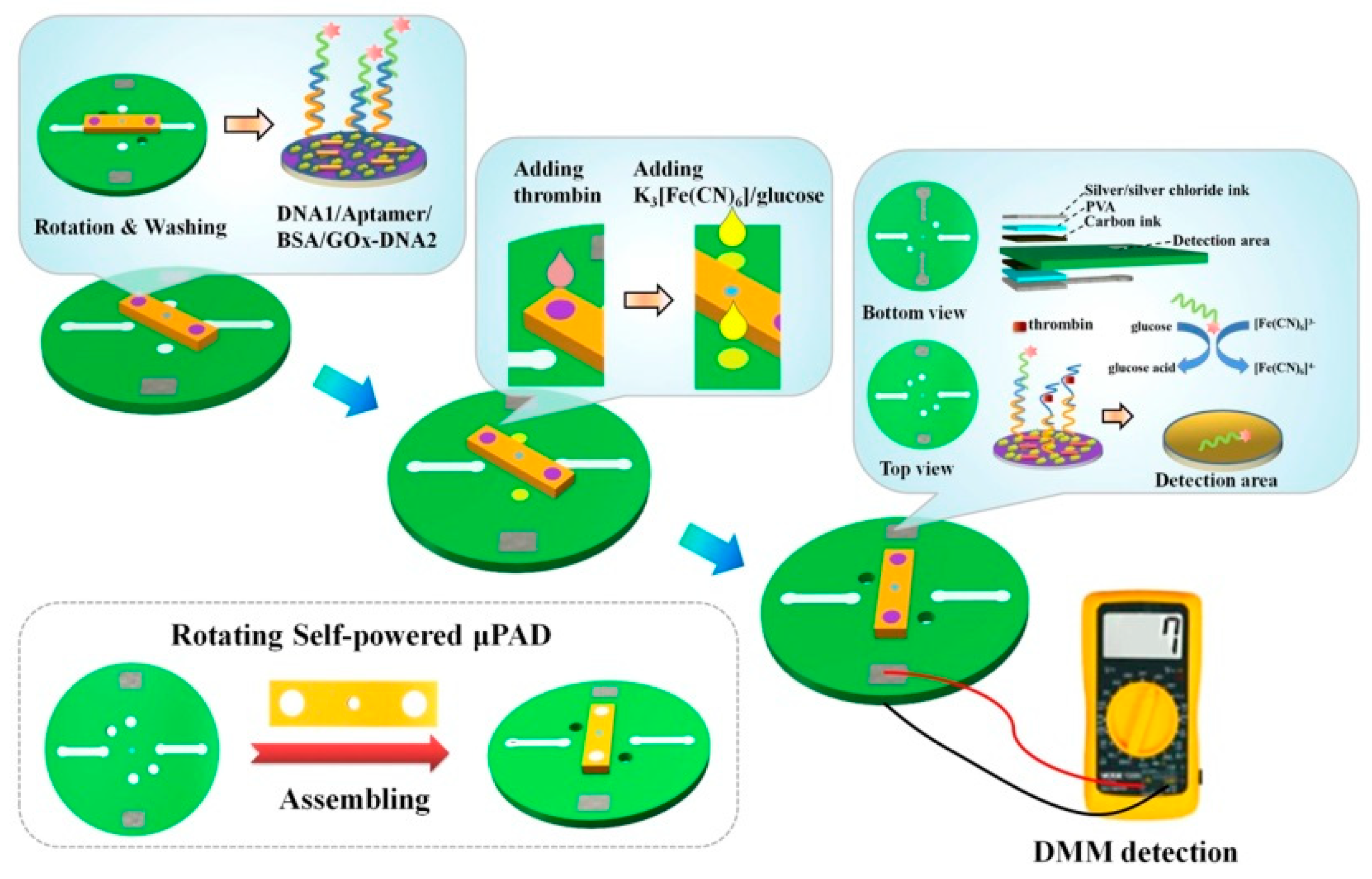 Biosensors 13 00175 g010
