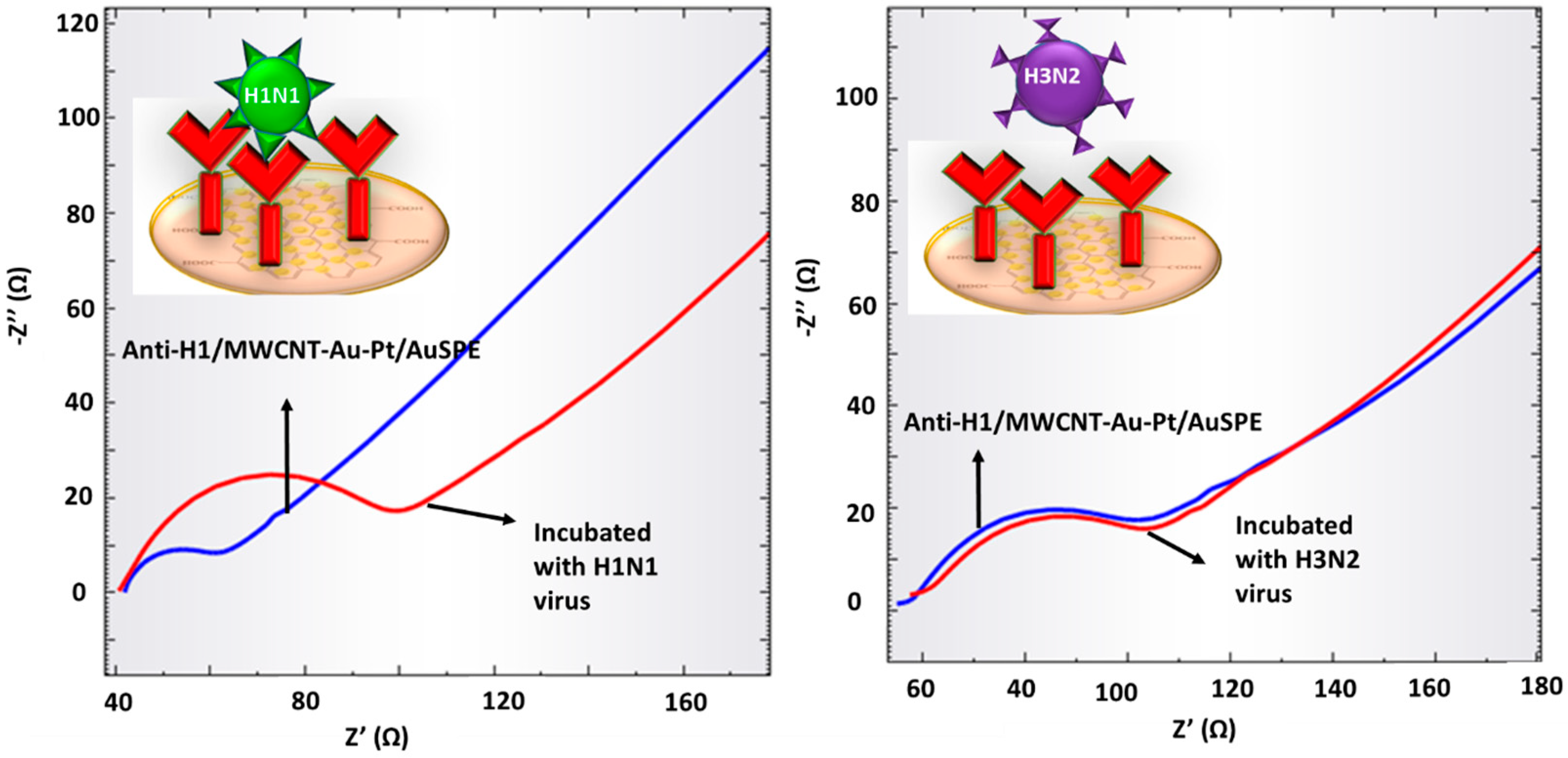 Biosensors 13 00176 g007