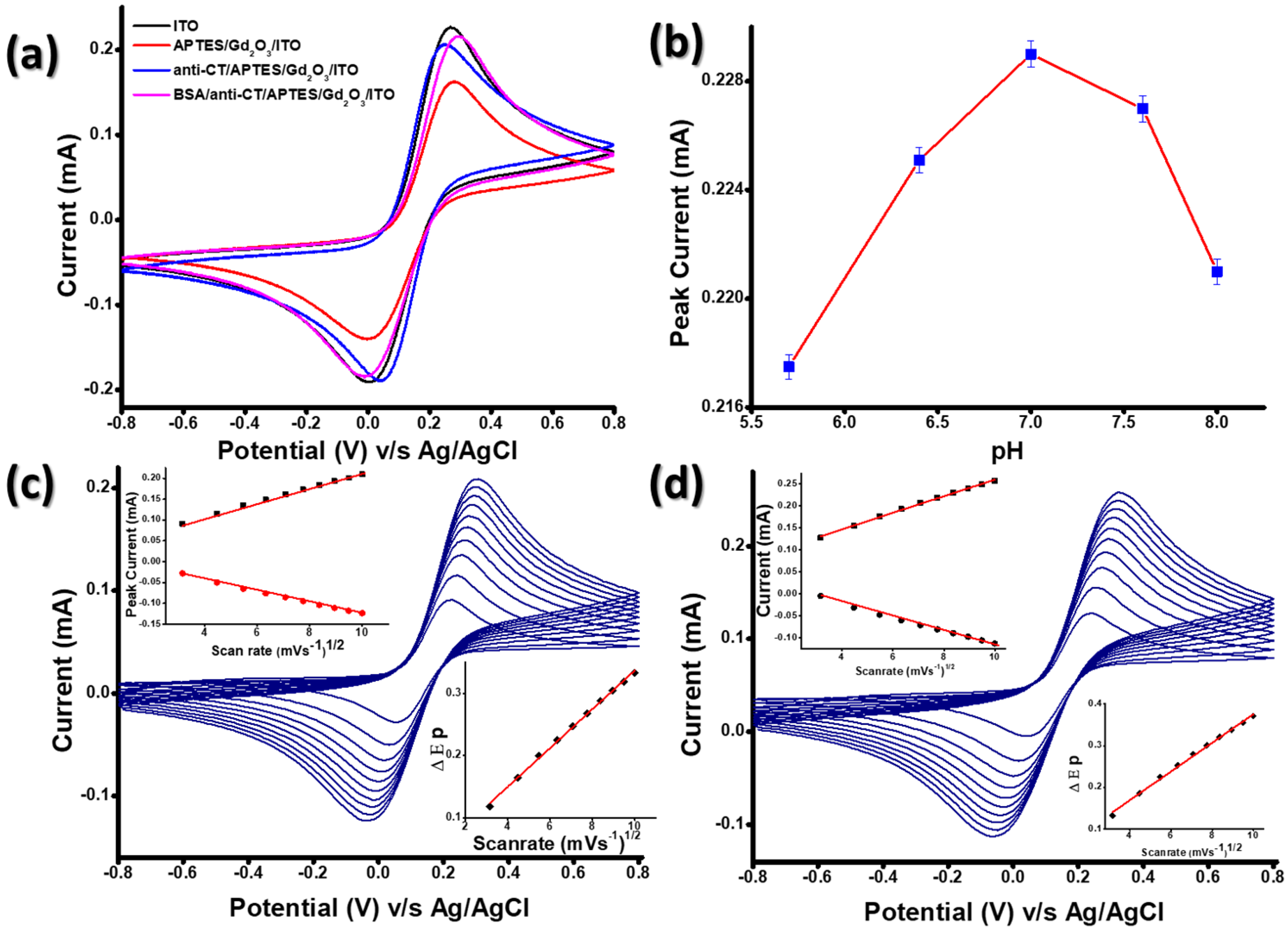 Biosensors 13 00177 g006 Biosensors 13 00177 g006