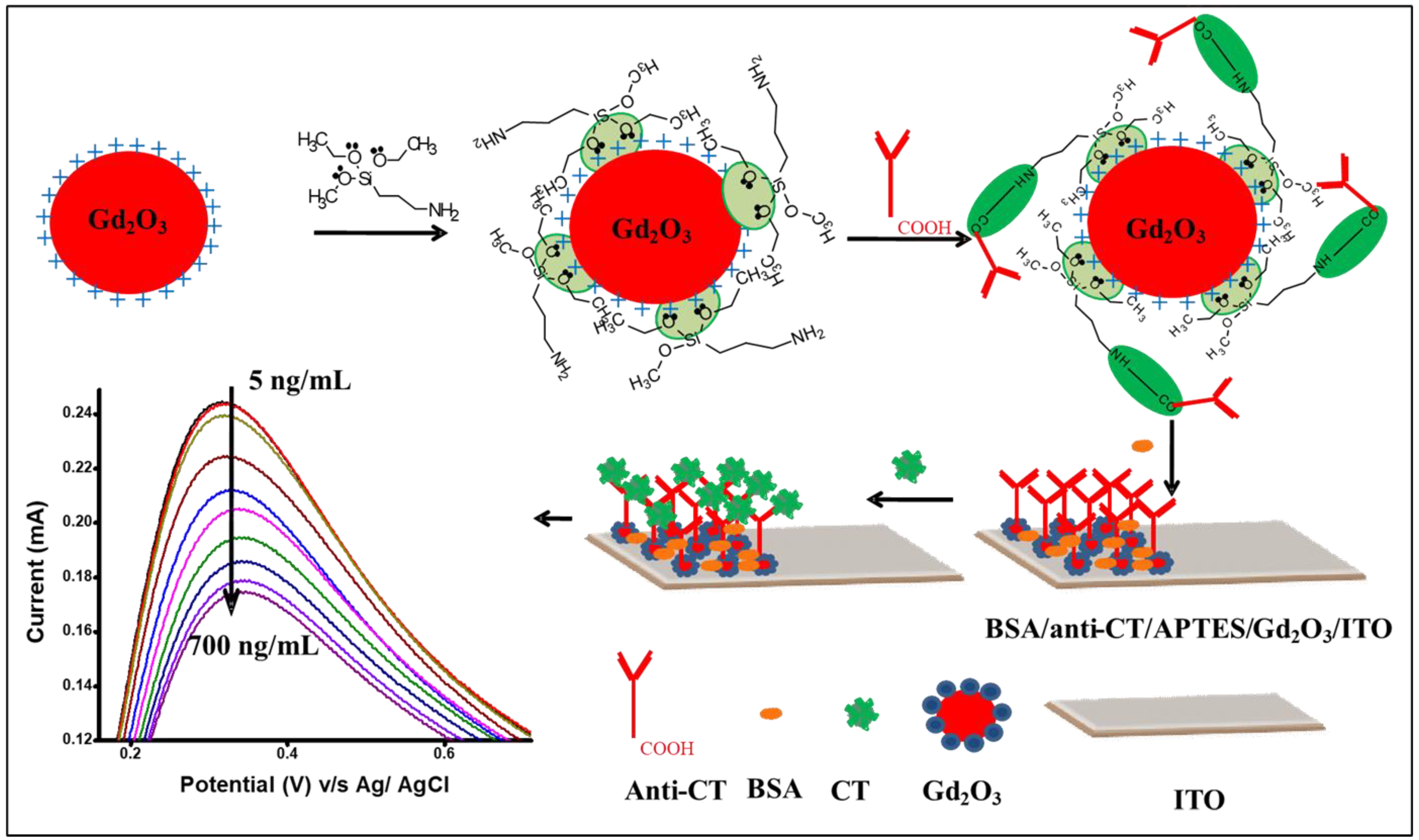 Biosensors 13 00177 sch001 Biosensors 13 00177 sch001