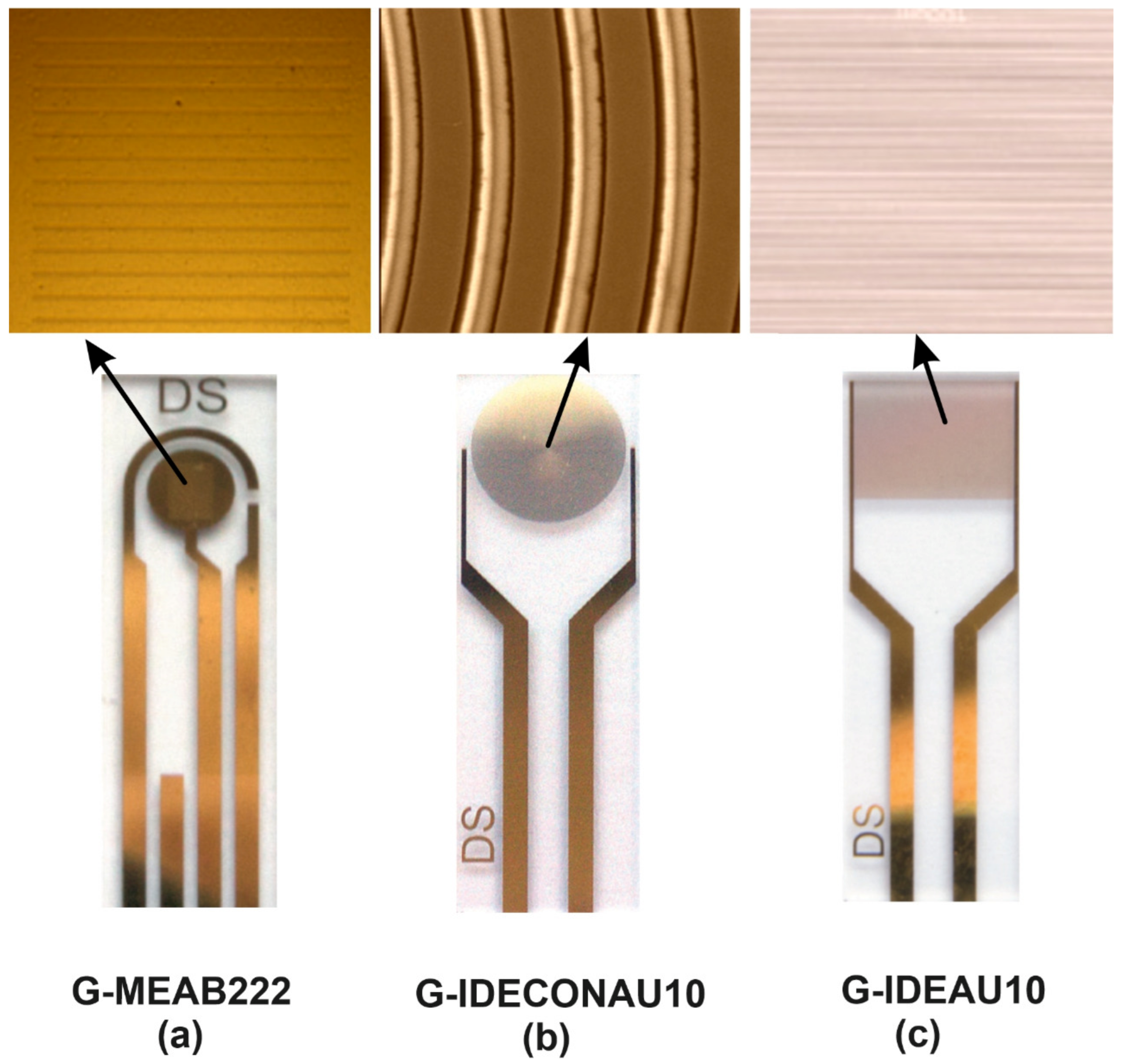 Biosensors 13 00179 g001