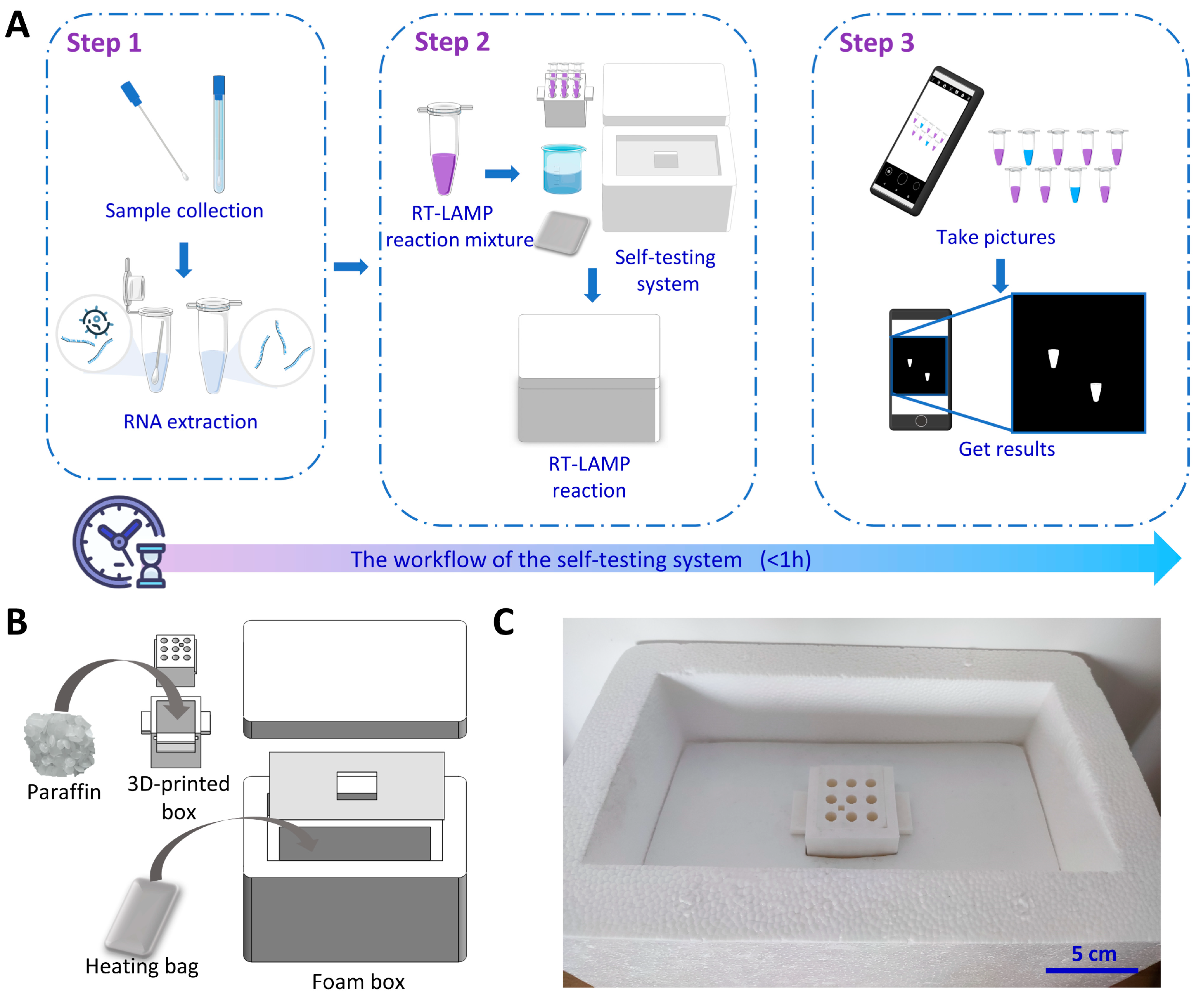 Biosensors 13 00180 g001