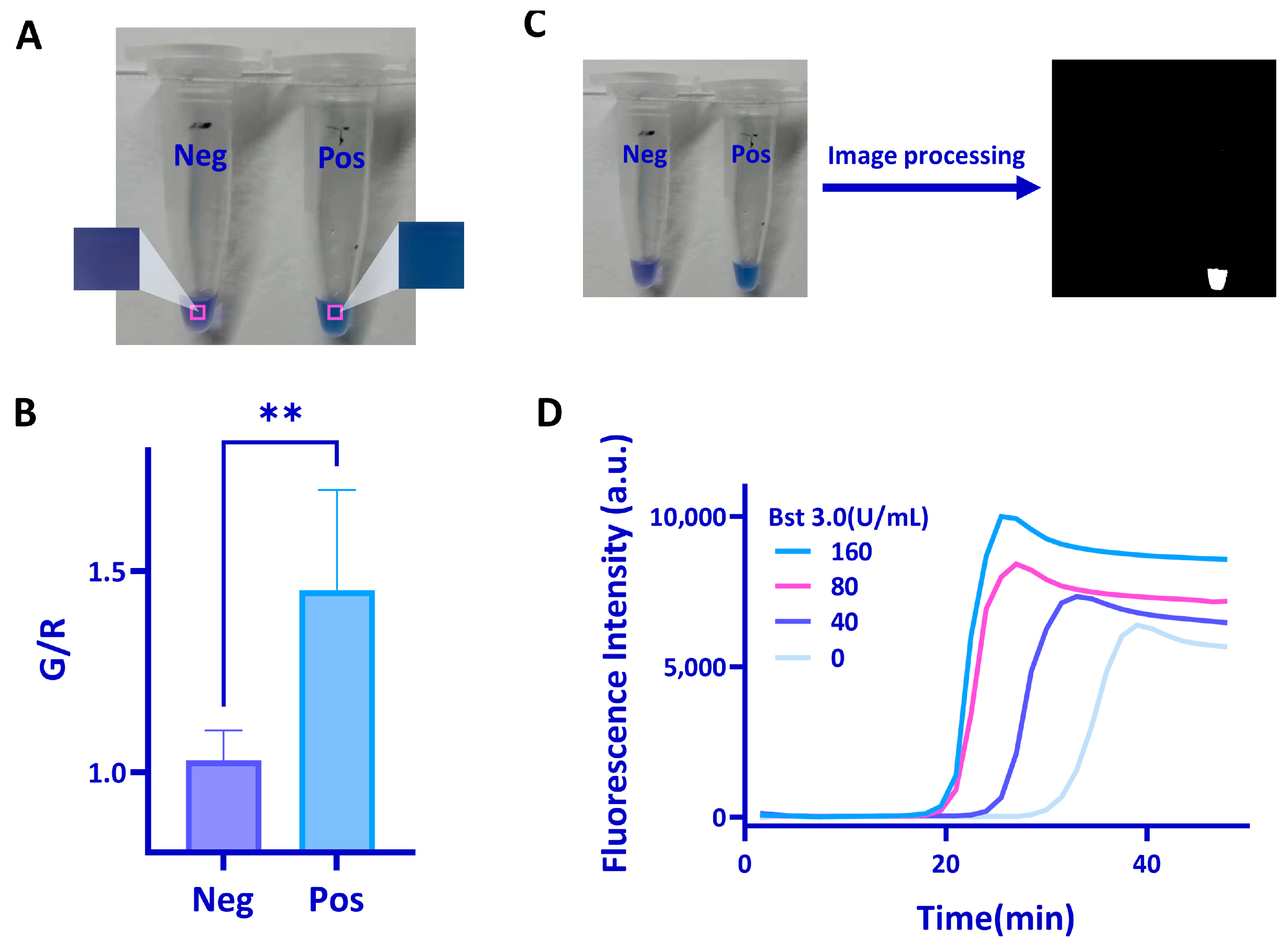 Biosensors 13 00180 g003