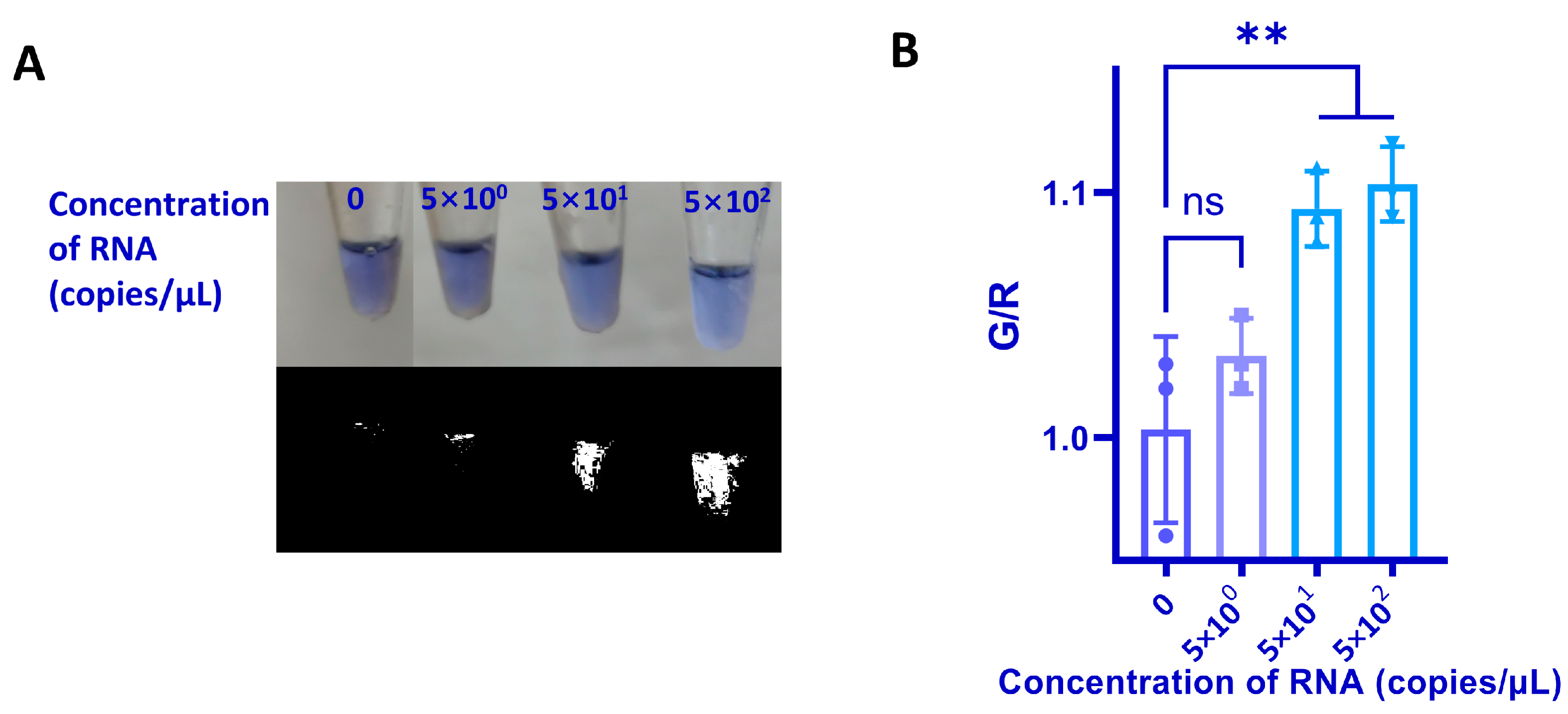 Biosensors 13 00180 g004