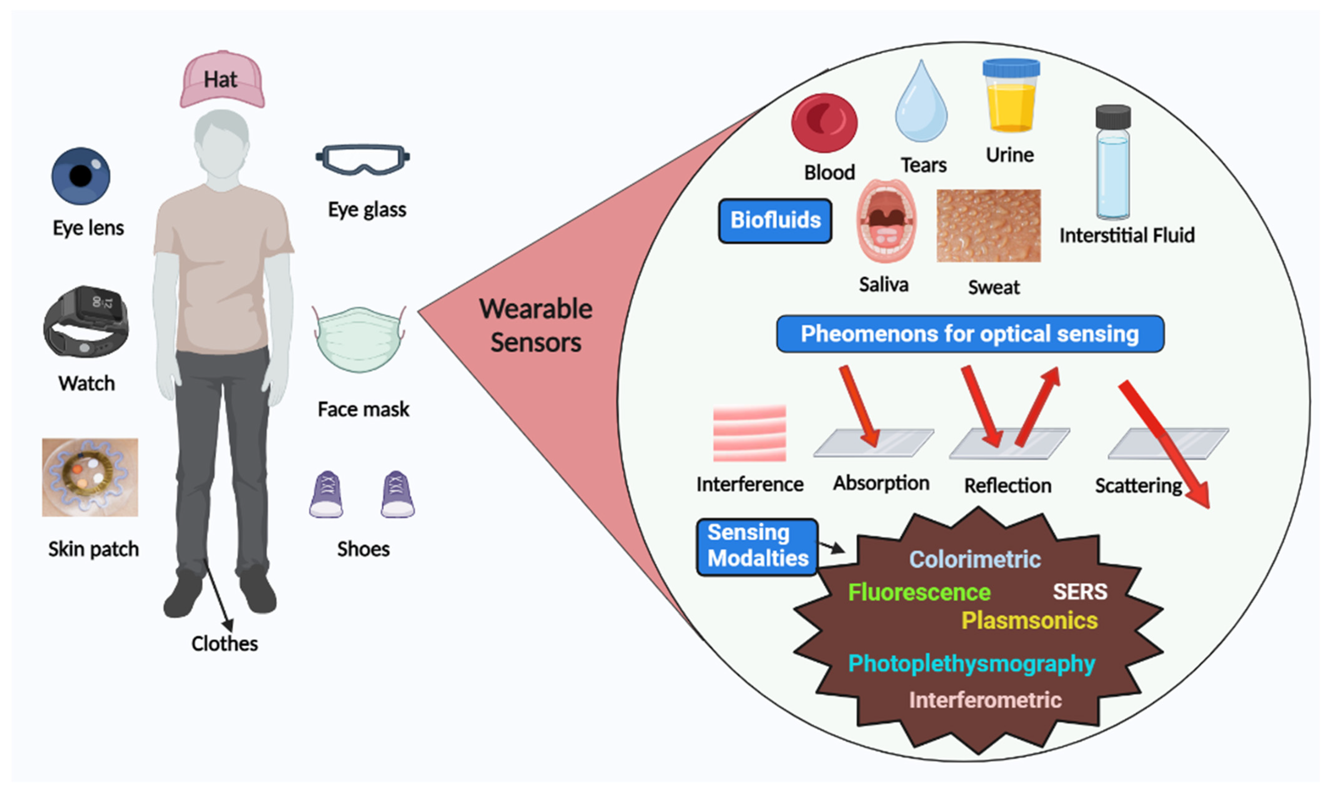 Biosensors 13 00181 g002