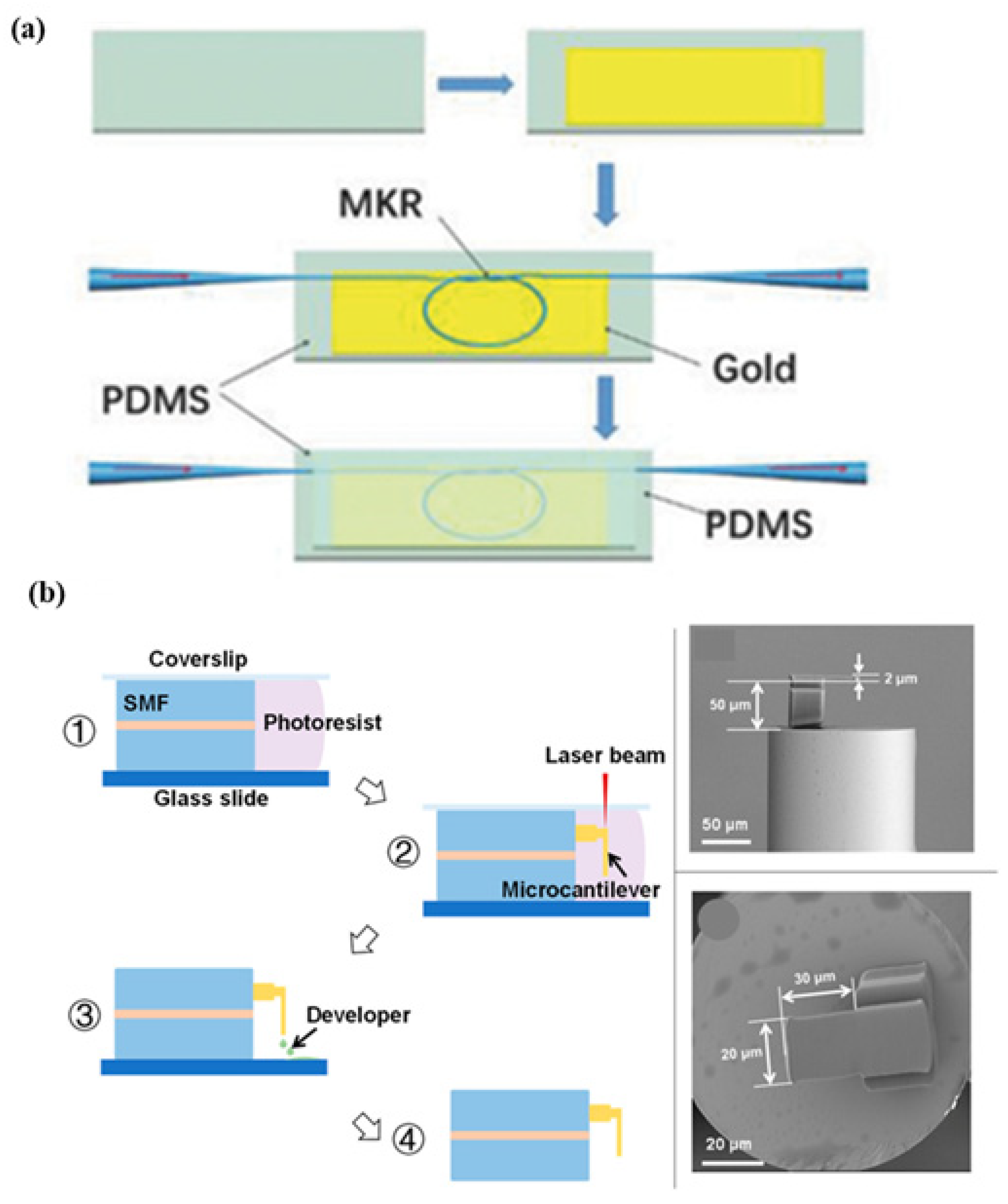Biosensors 13 00181 g008