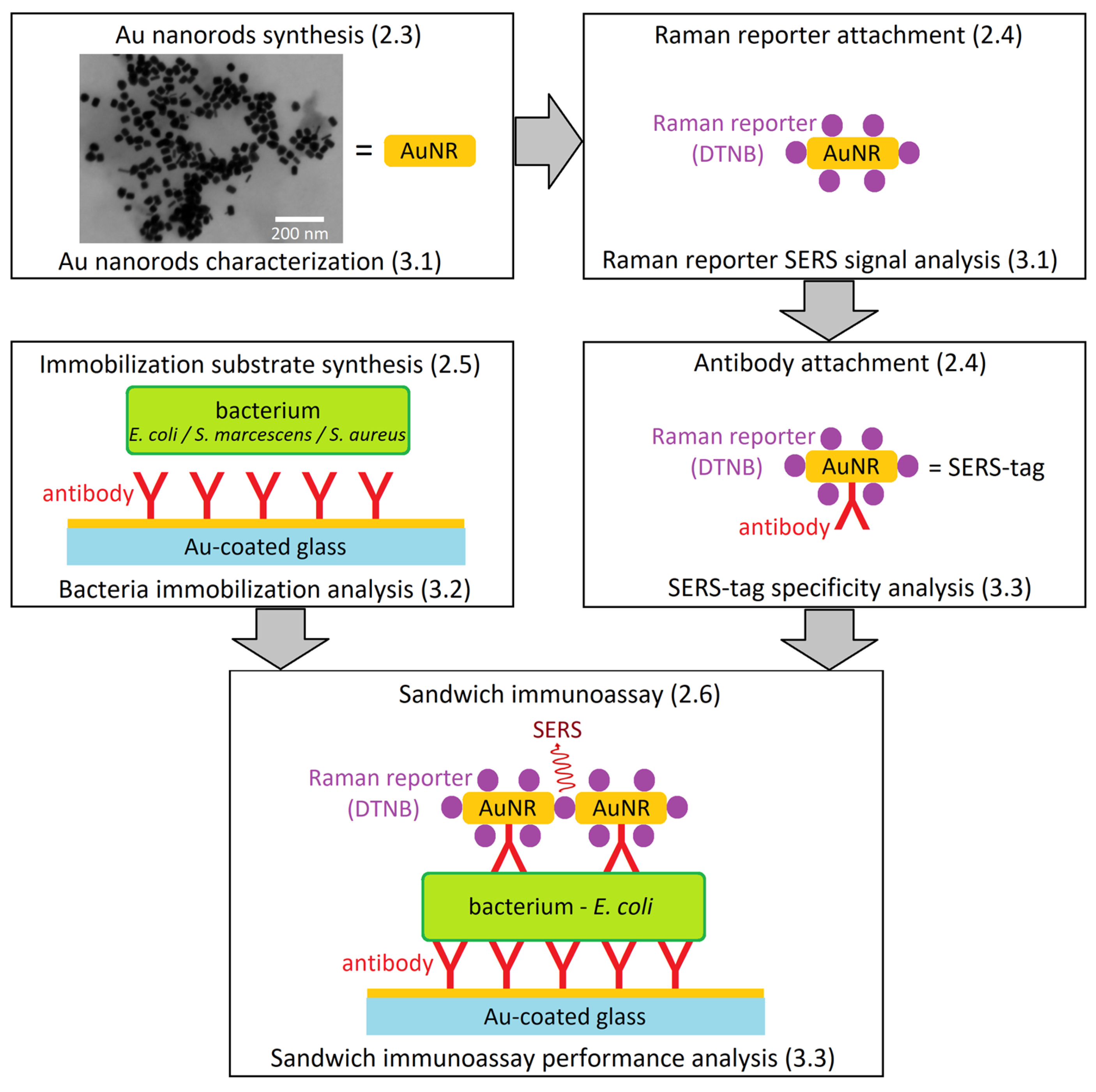 Biosensors 13 00182 g001