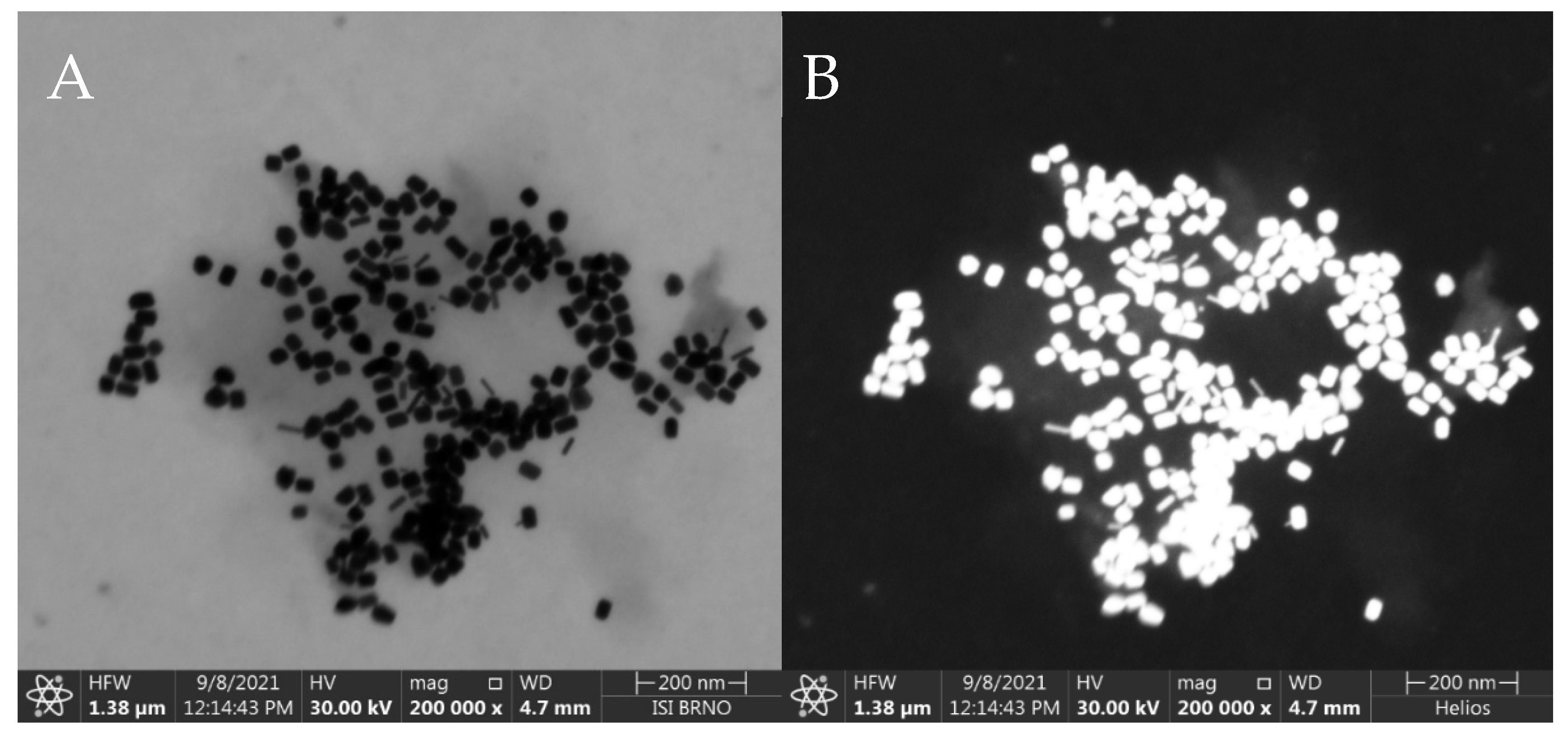 Biosensors 13 00182 g002