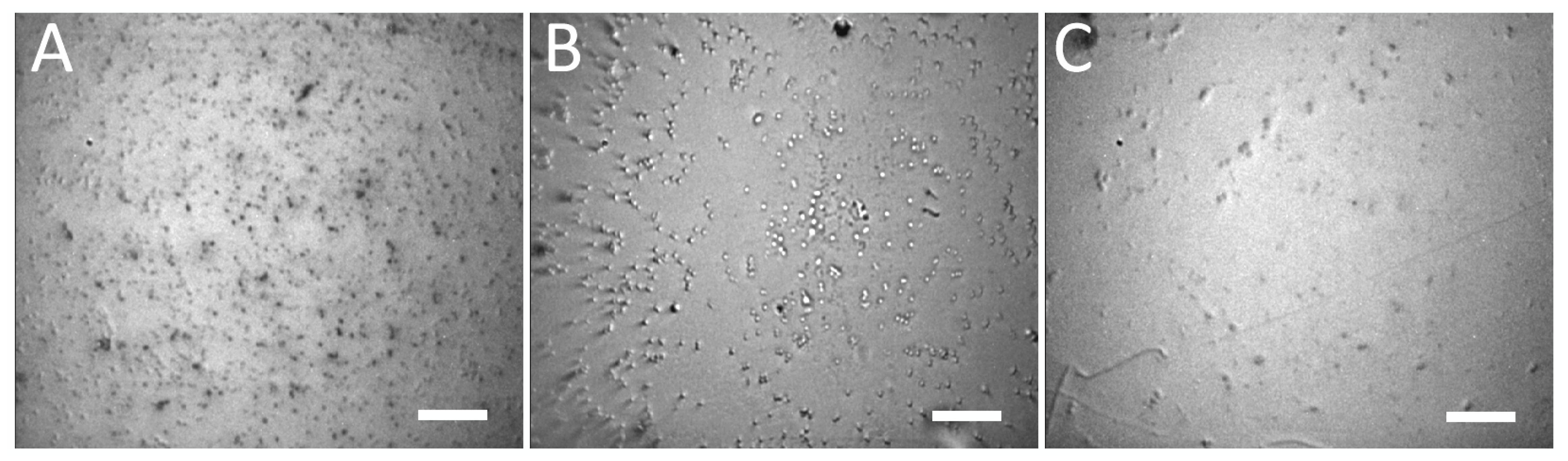 Biosensors 13 00182 g004