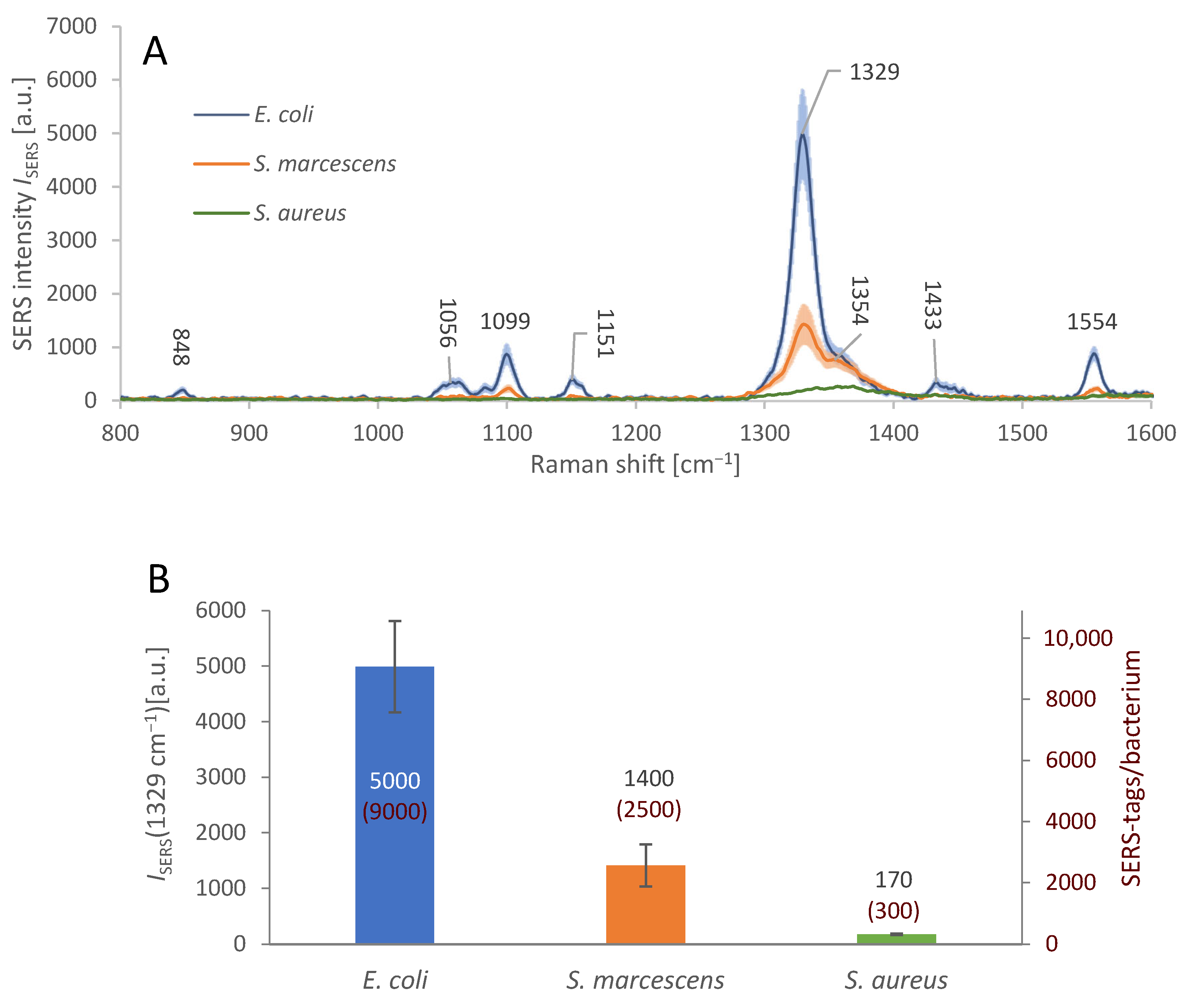 Biosensors 13 00182 g005