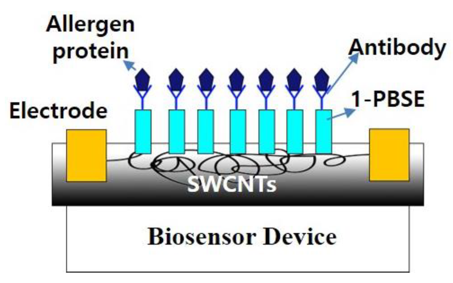 Biosensors 13 00183 g004 Biosensors 13 00183 g004