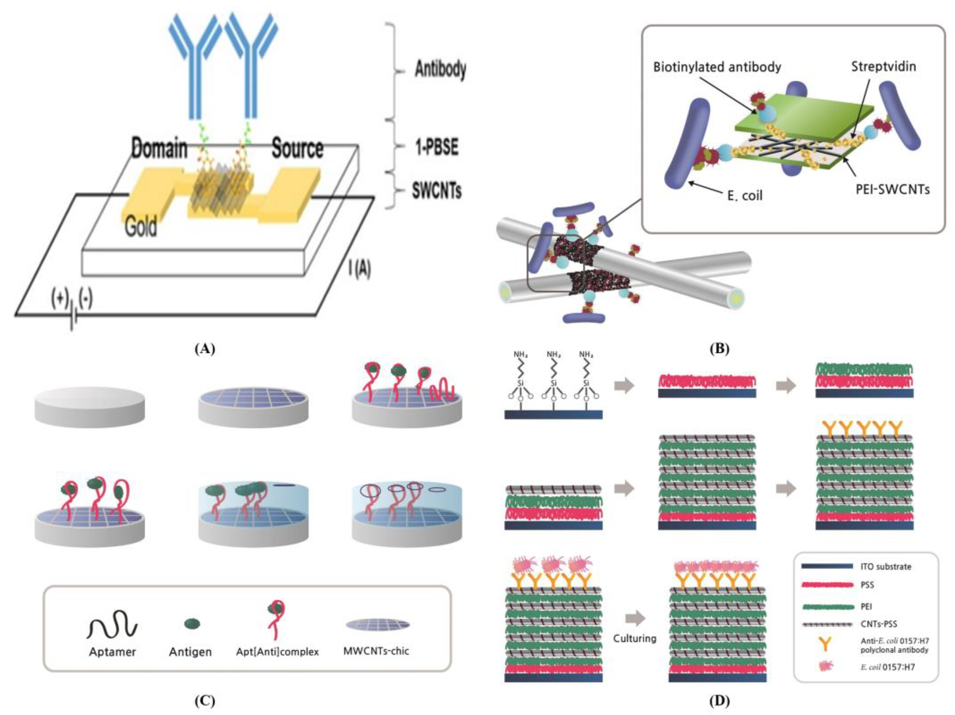 Biosensors 13 00183 g008 Biosensors 13 00183 g008