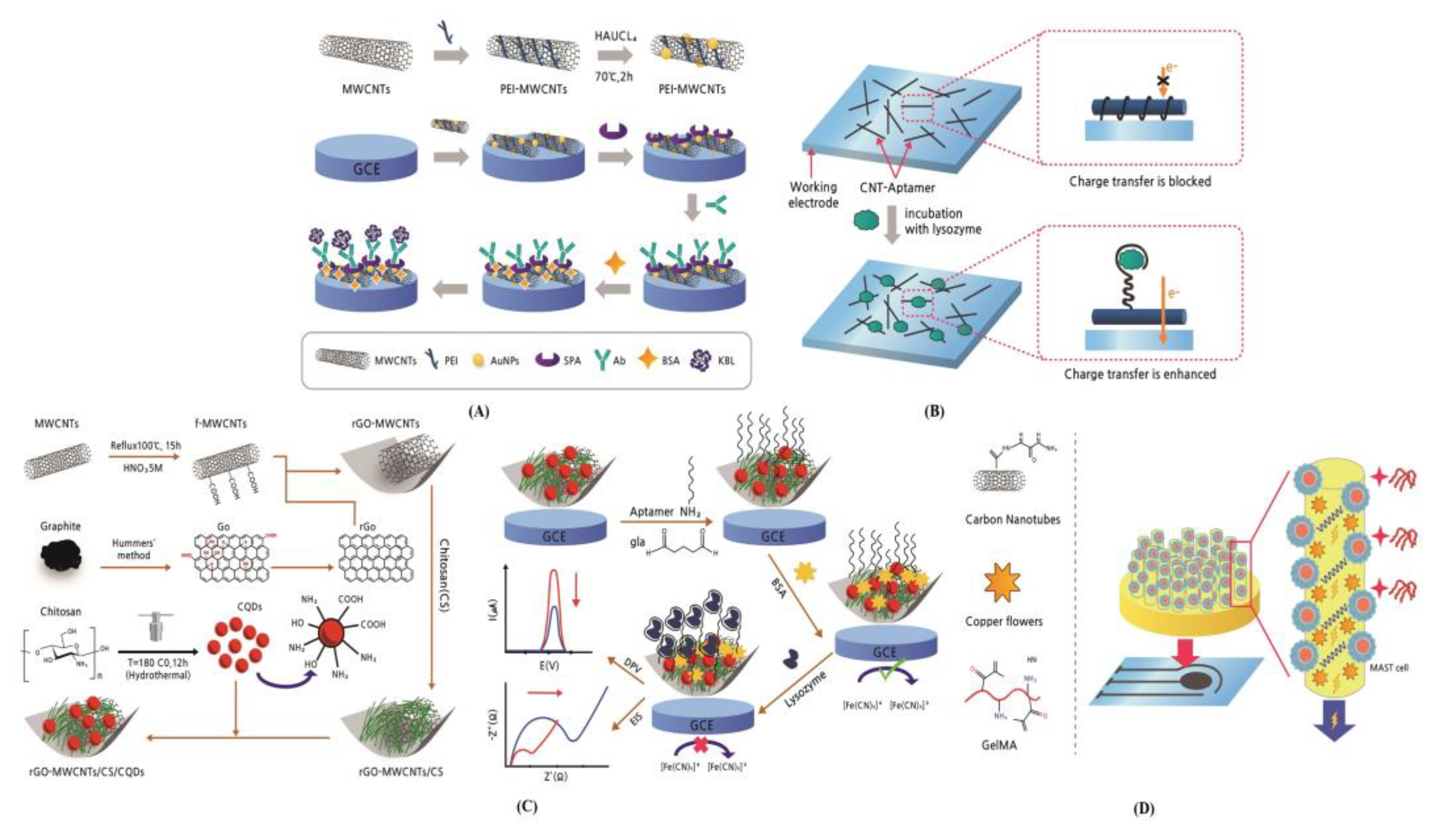 Biosensors 13 00183 g009 Biosensors 13 00183 g009