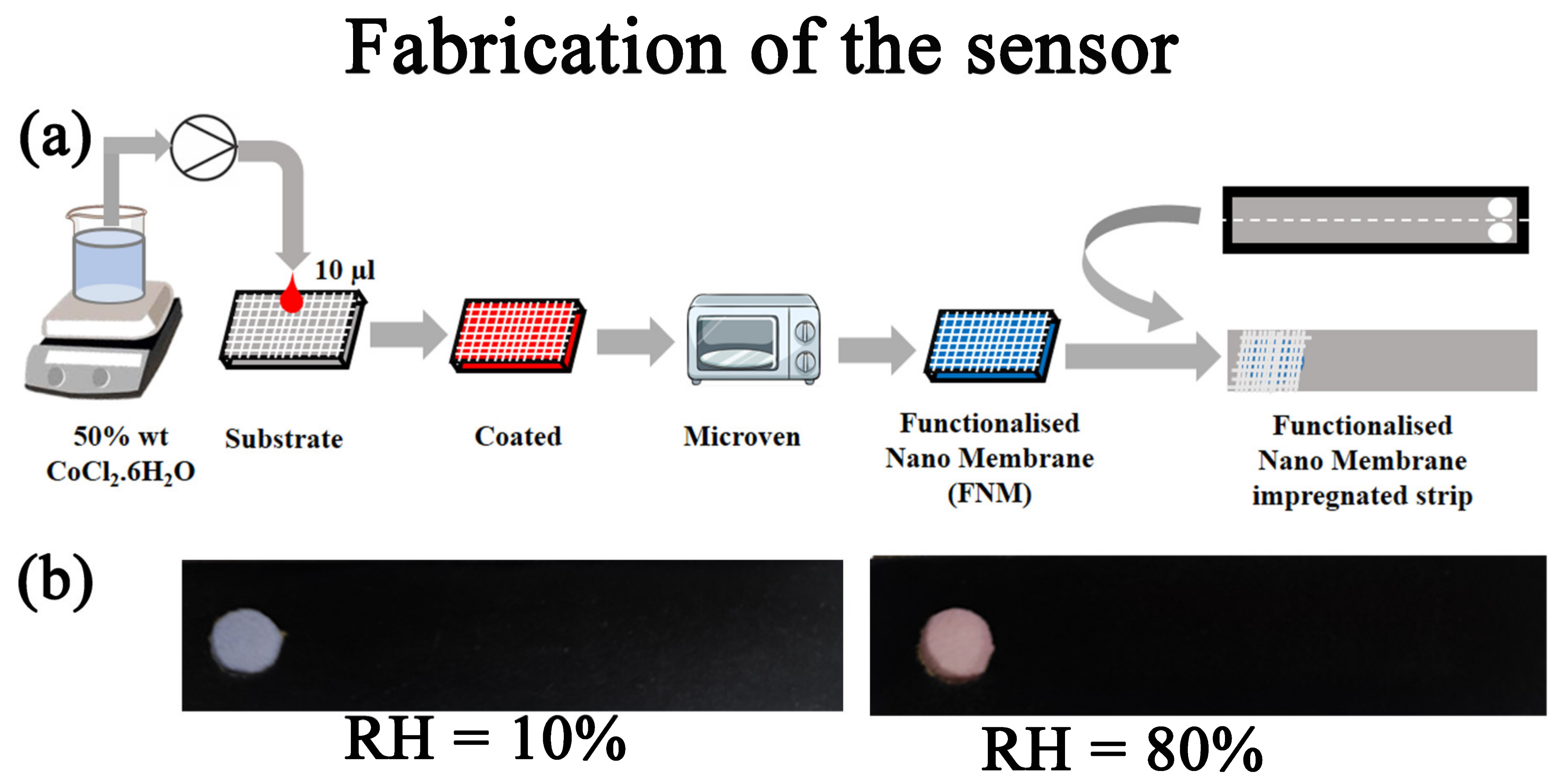 Biosensors 13 00185 g001 Biosensors 13 00185 g001