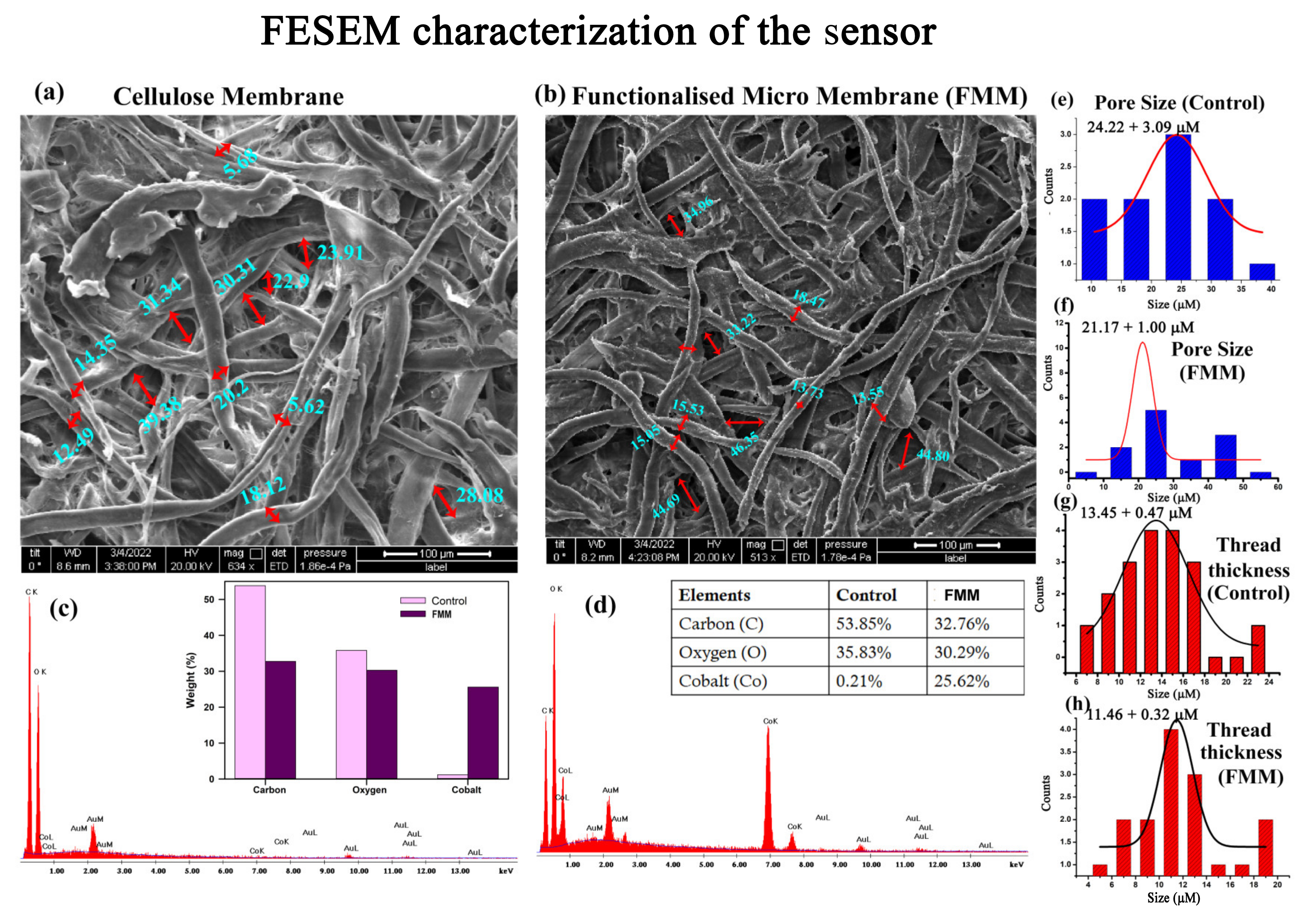 Biosensors 13 00185 g004 Biosensors 13 00185 g004