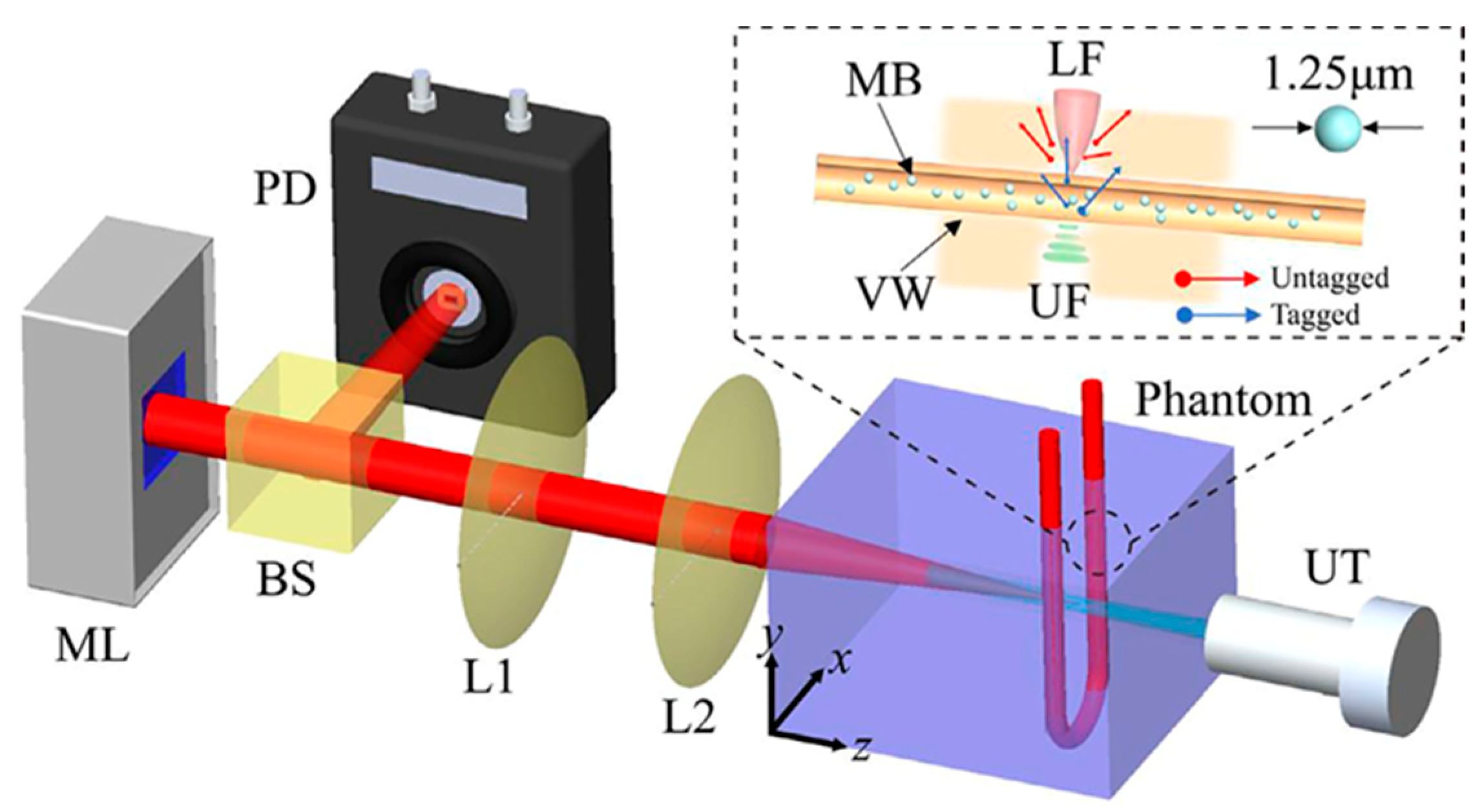 Biosensors 13 00186 g003 Biosensors 13 00186 g003