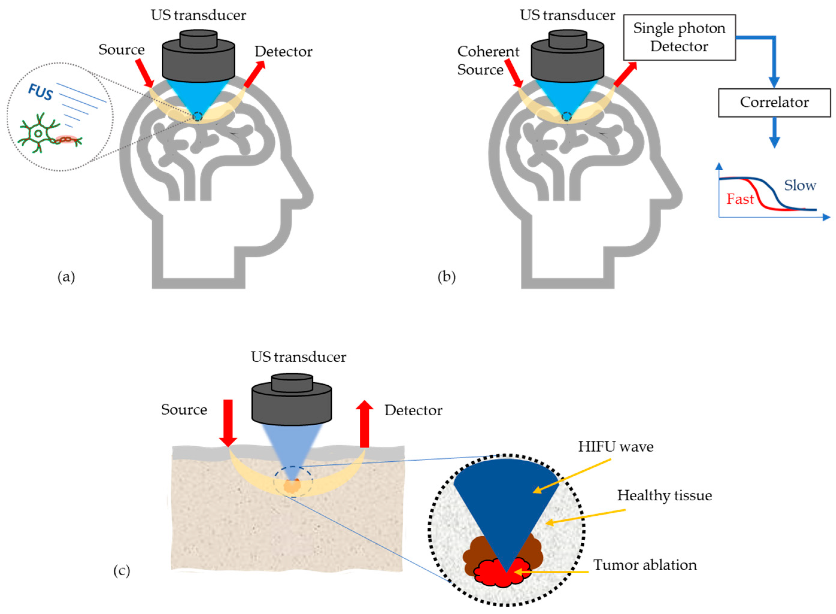 Biosensors 13 00186 g004 Biosensors 13 00186 g004