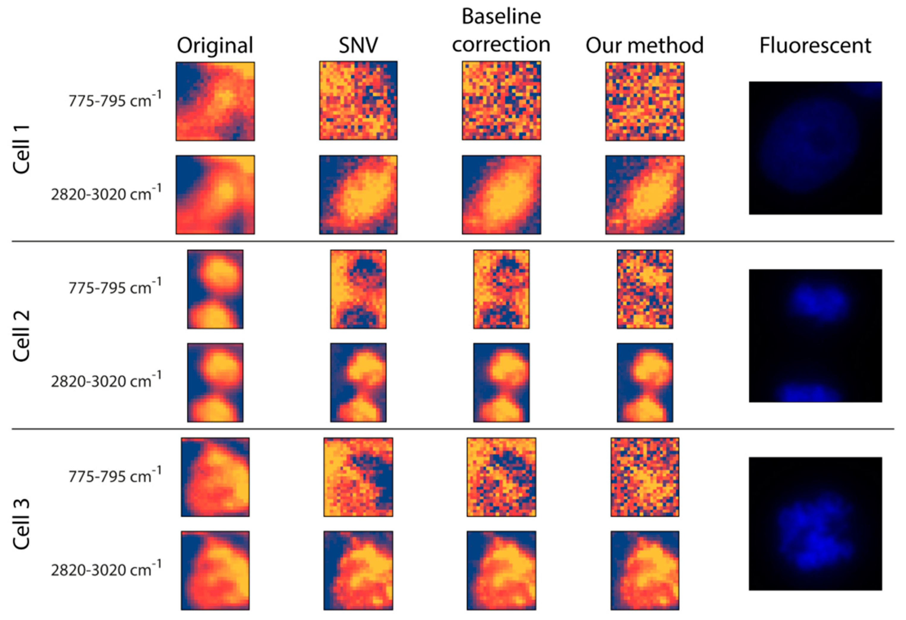 Biosensors 13 00187 g003