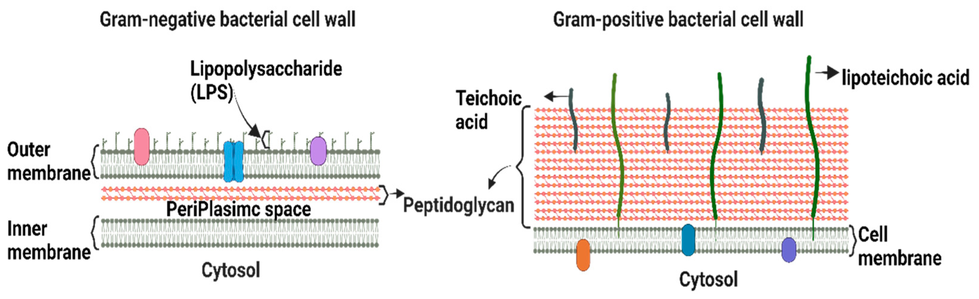 Biosensors 13 00189 g001