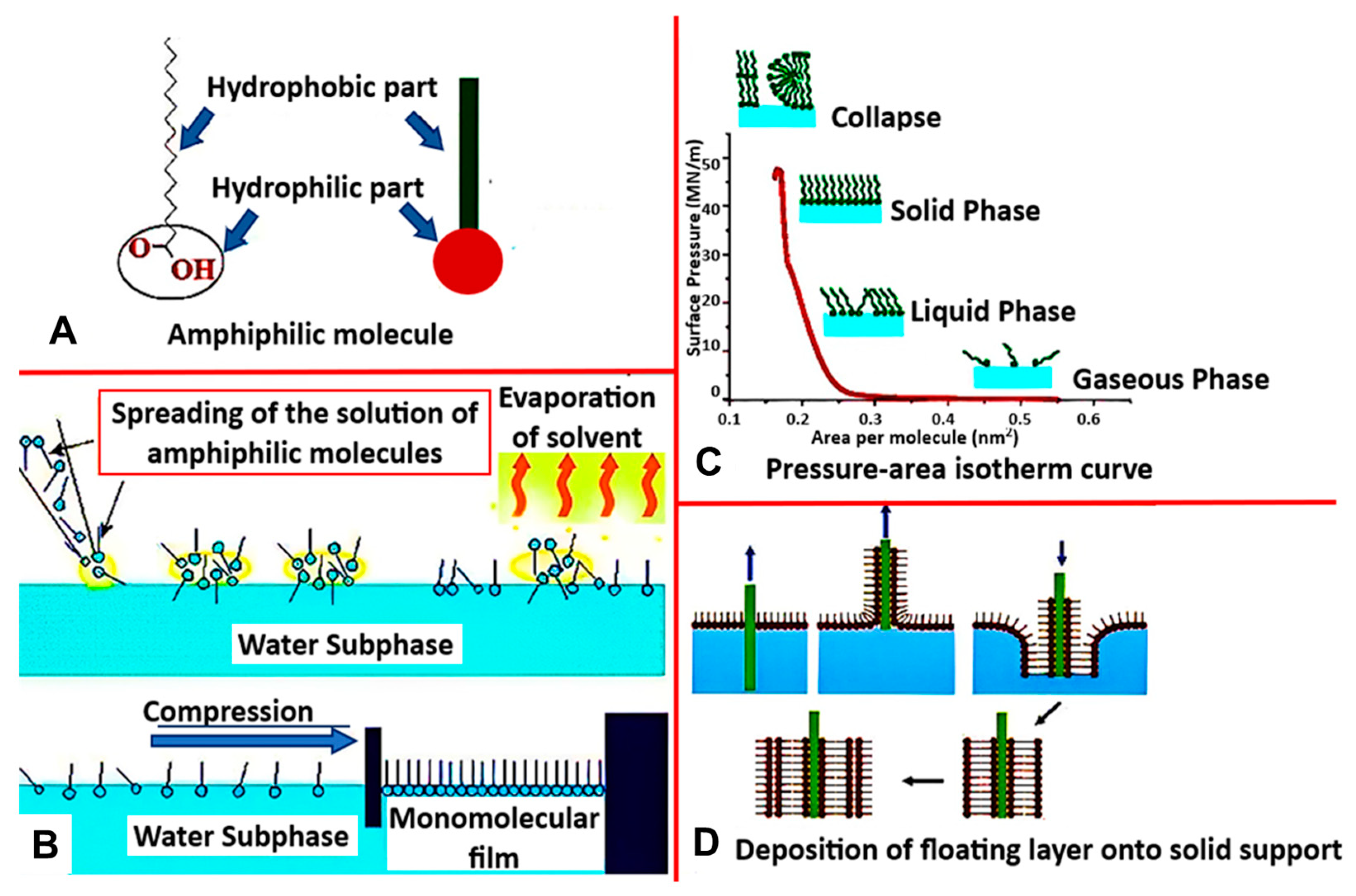 Biosensors 13 00189 g003
