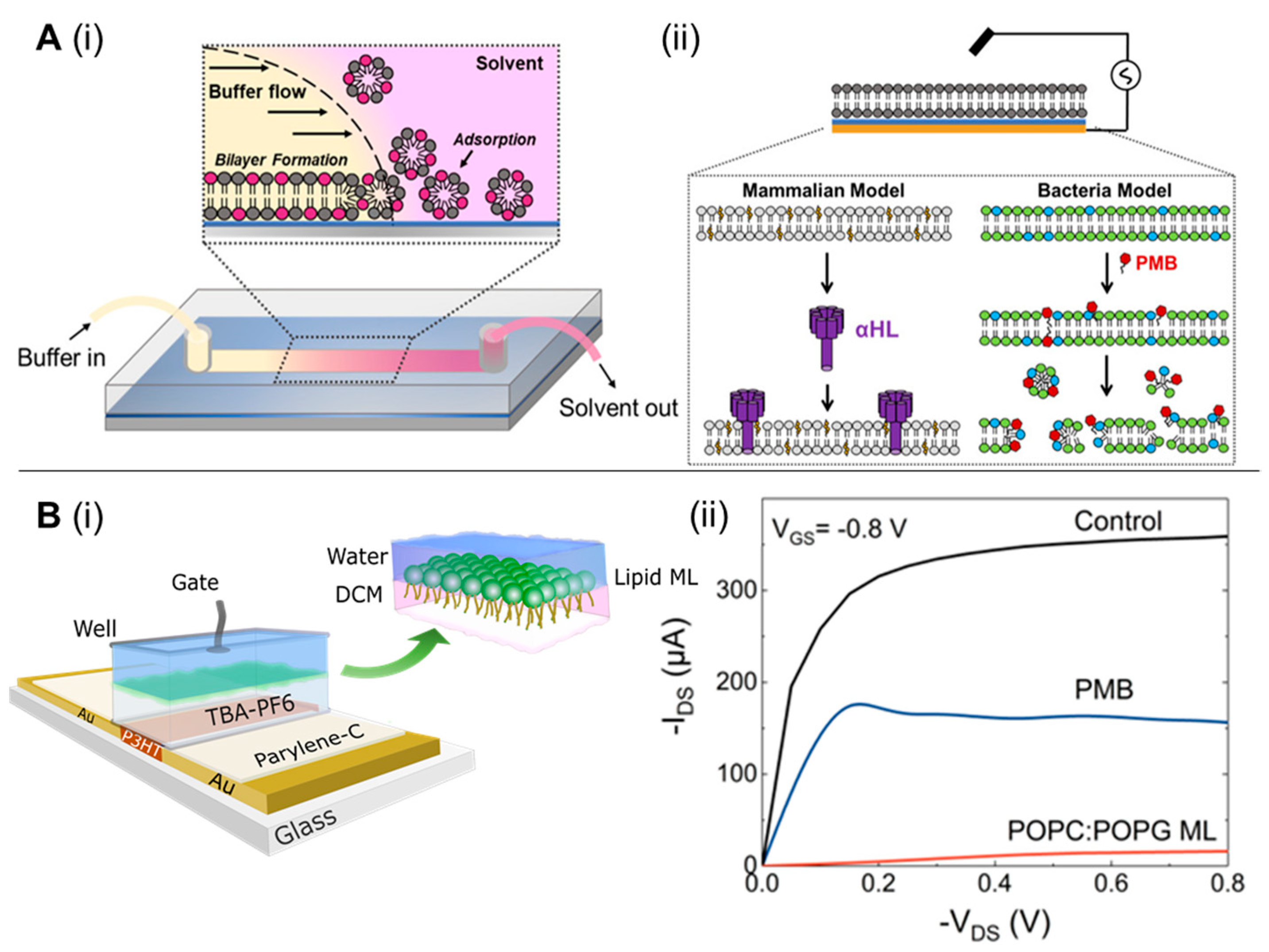Biosensors 13 00189 g007