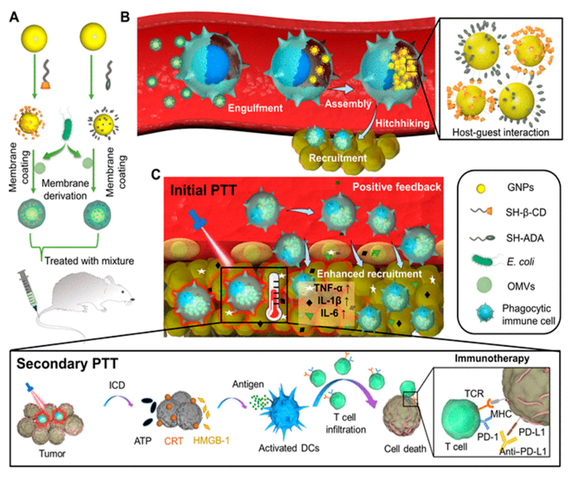 Biosensors 13 00189 g011