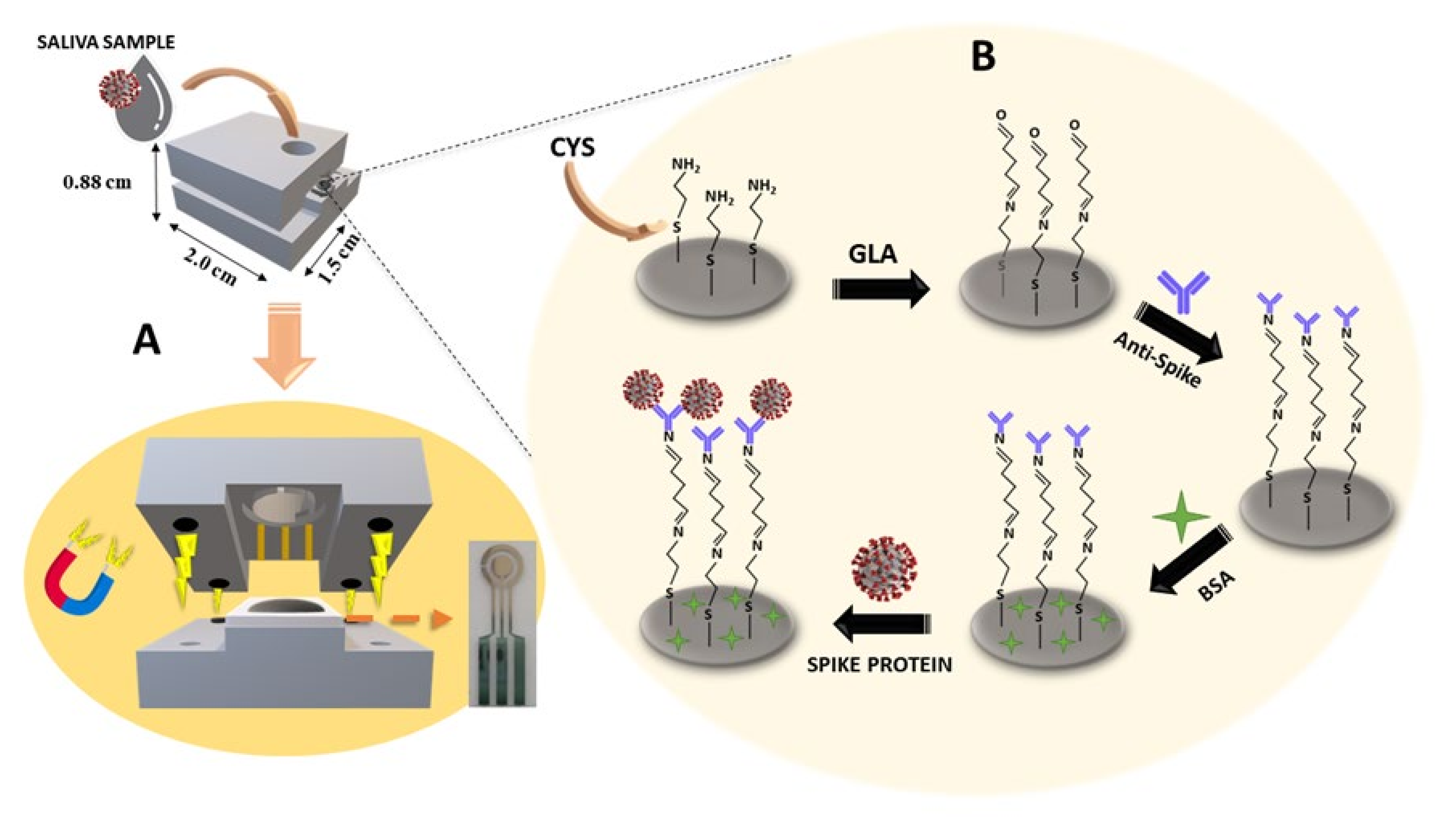 Biosensors 13 00190 g001