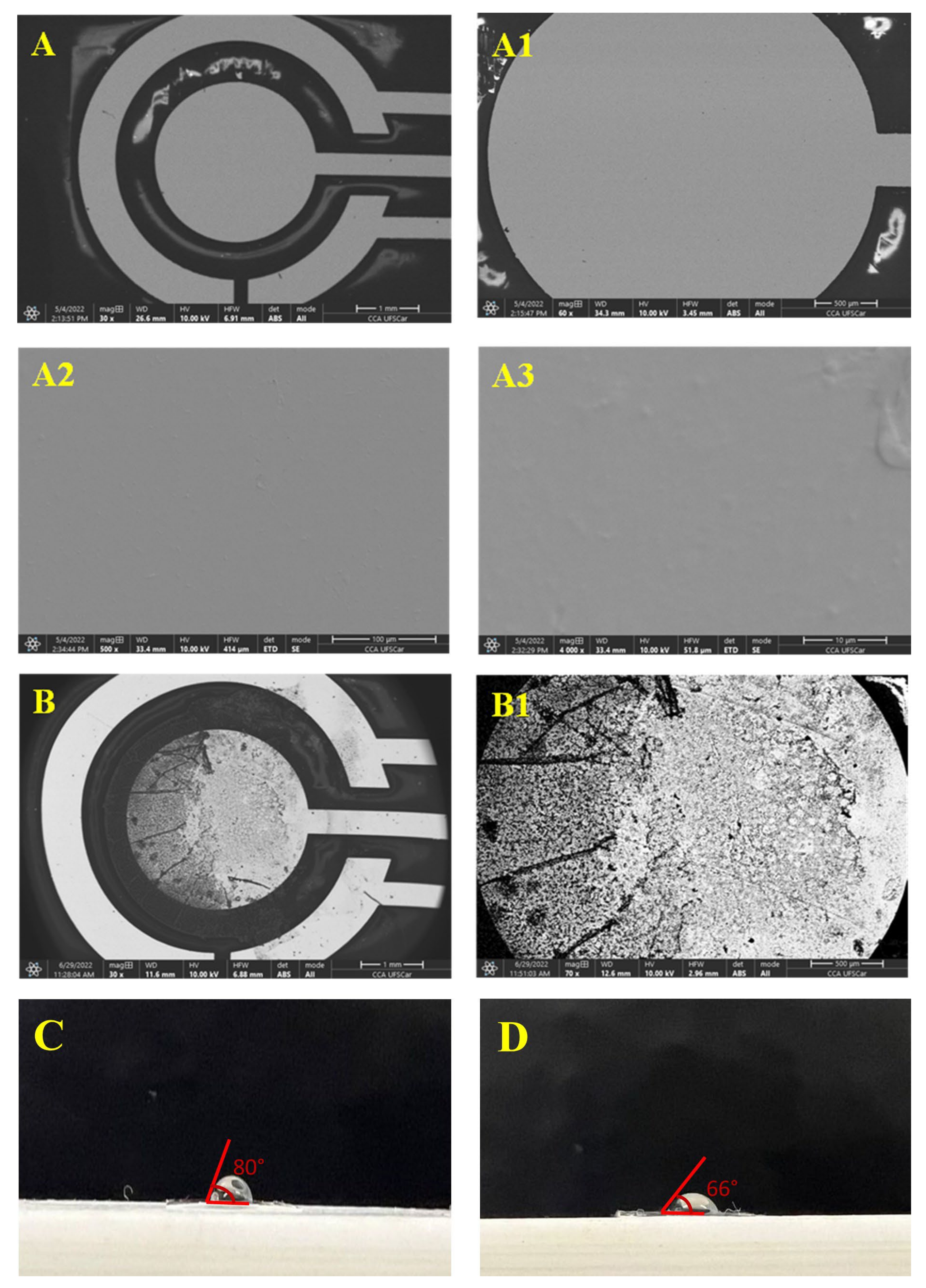Biosensors 13 00190 g002