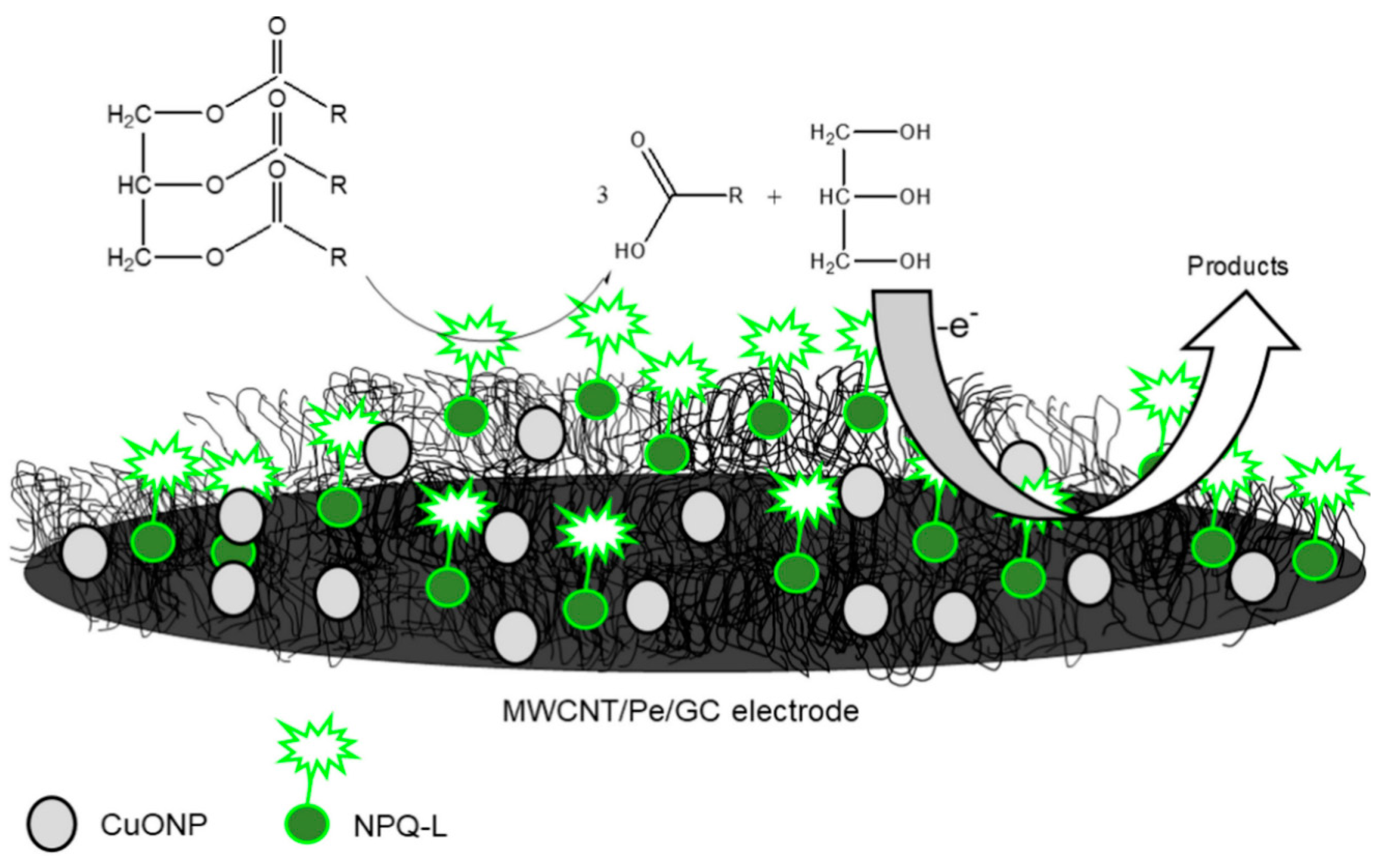 Biosensors 13 00192 g003