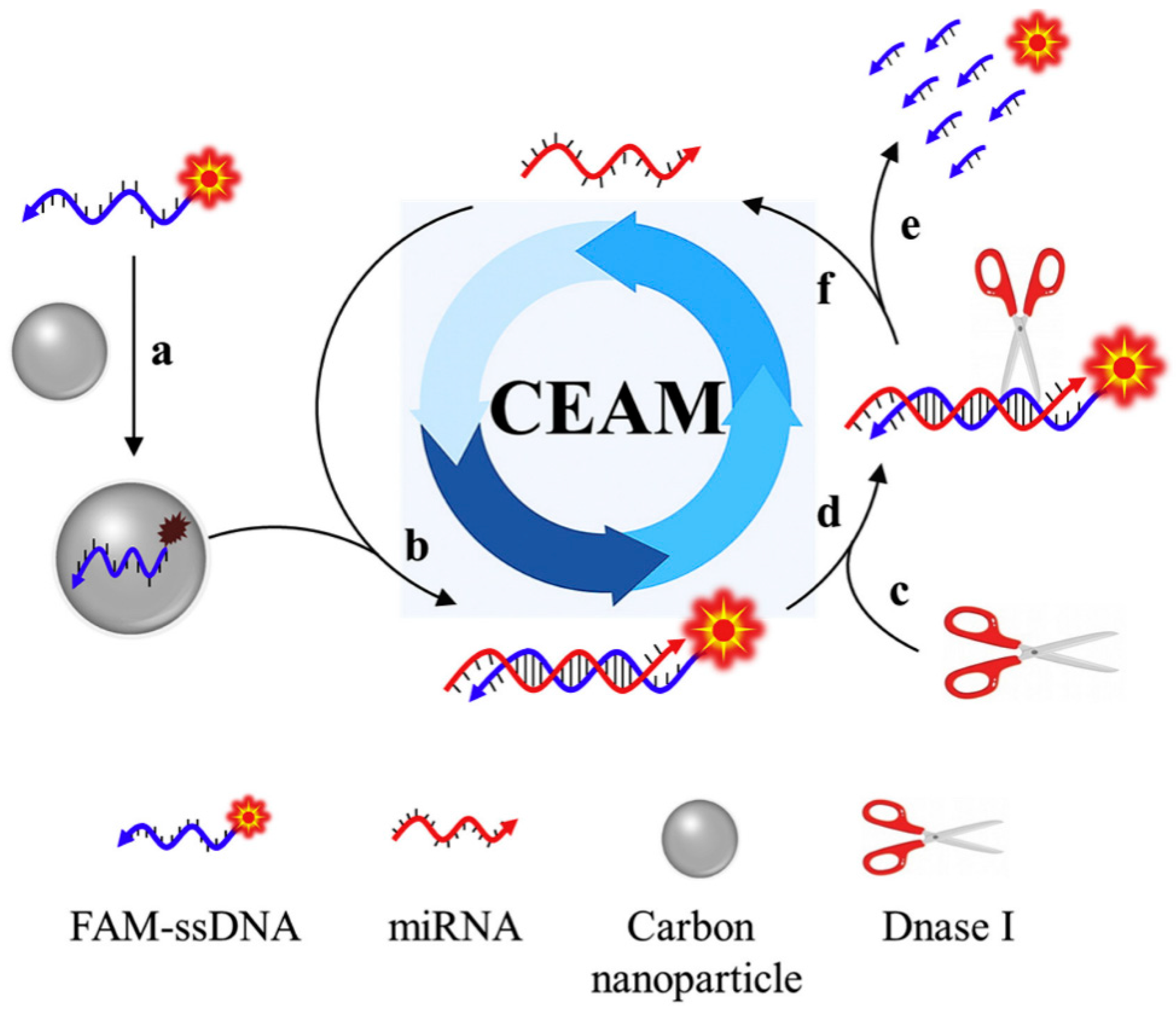Biosensors 13 00192 g004