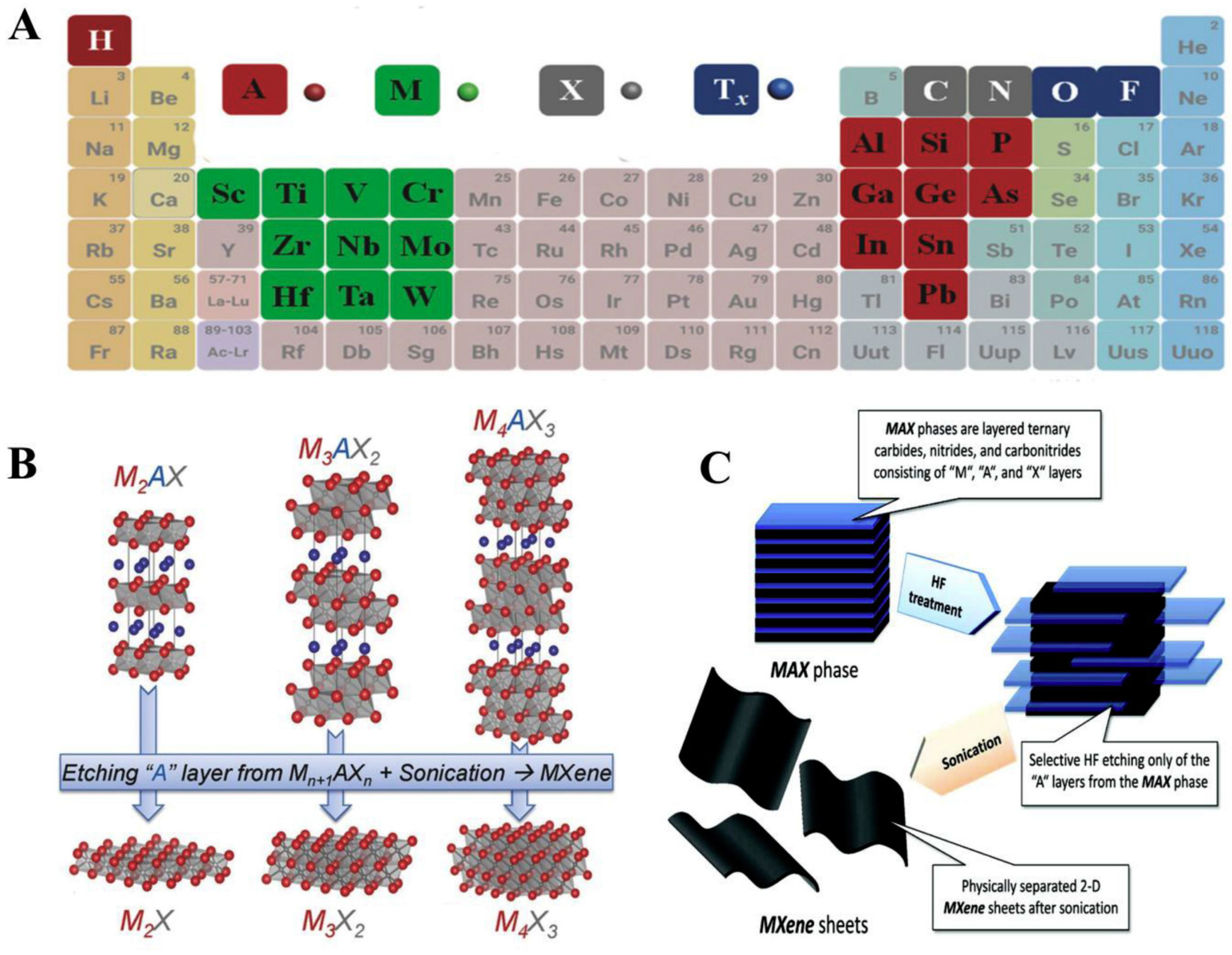 Biosensors 13 00192 g007