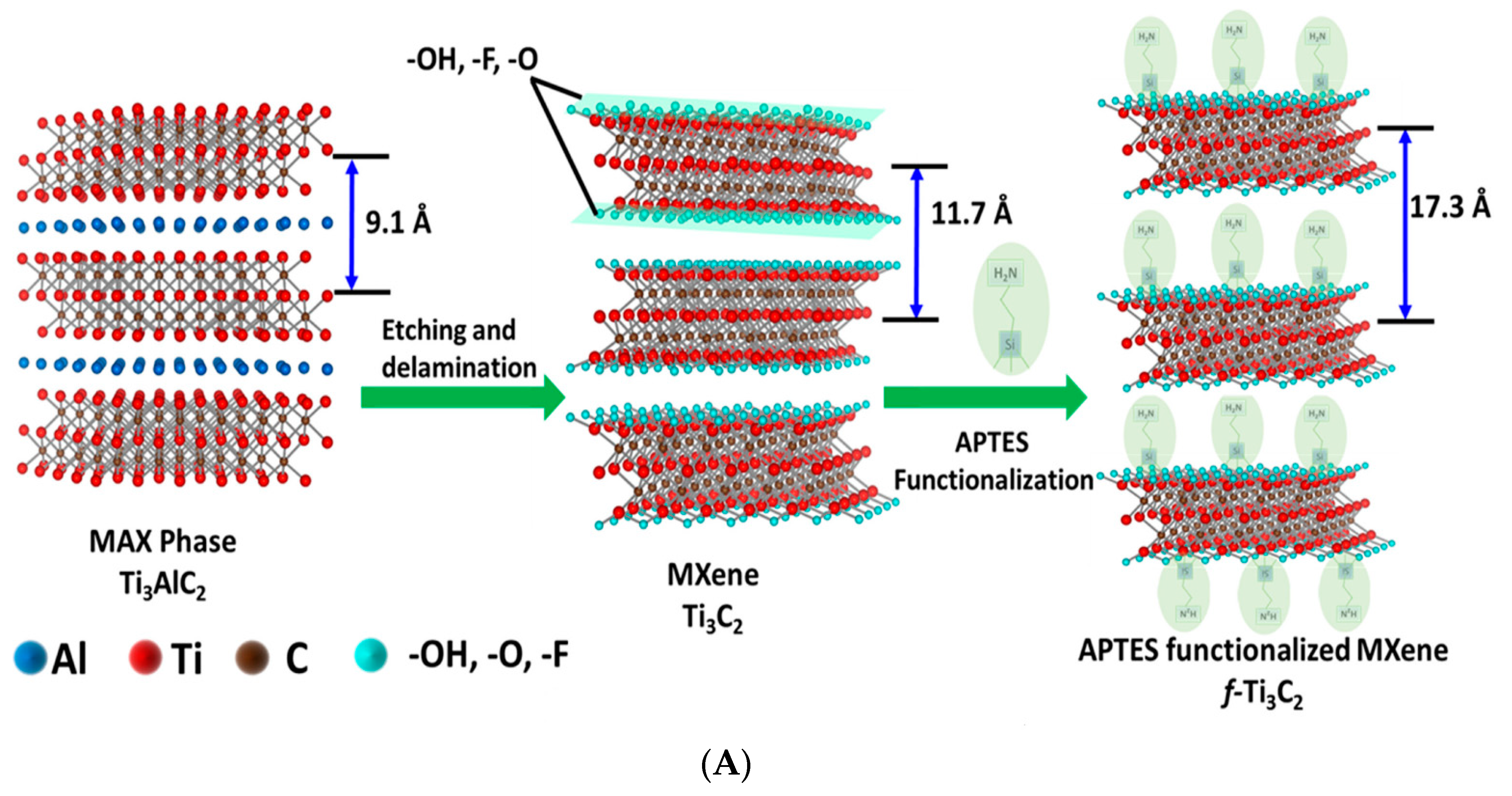 Biosensors 13 00192 g008a