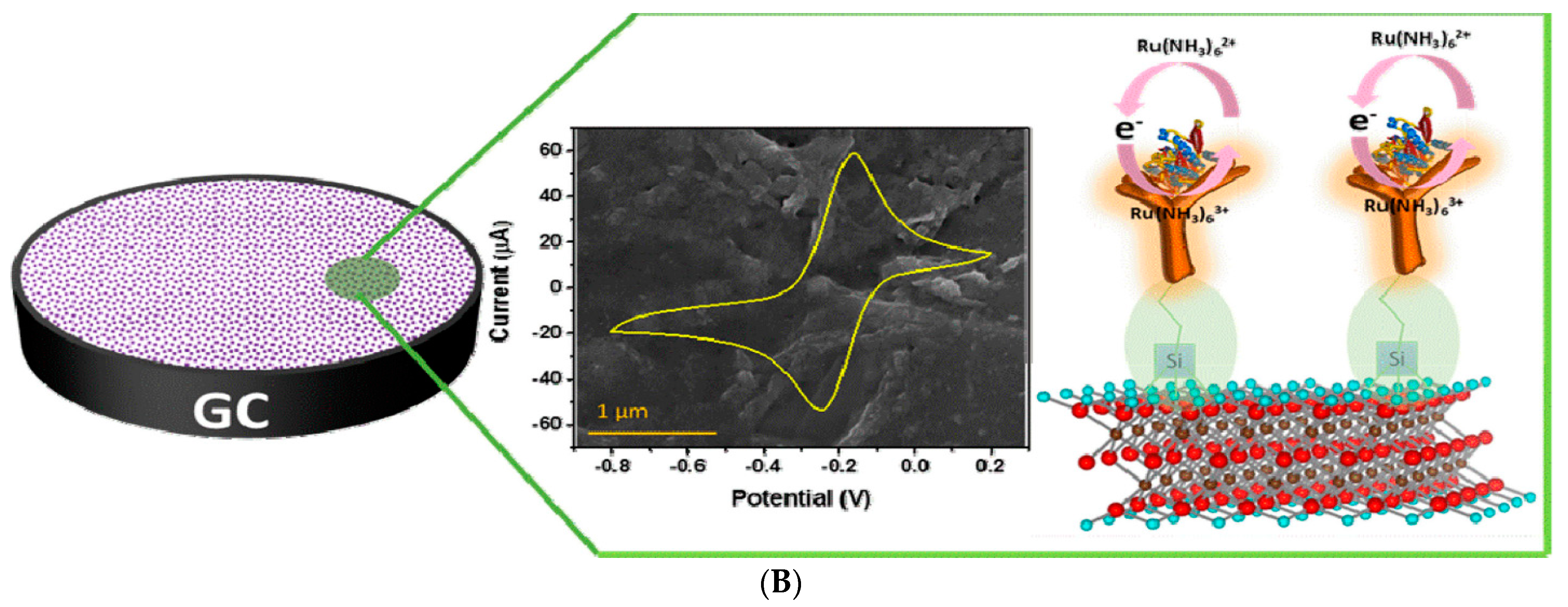 Biosensors 13 00192 g008b