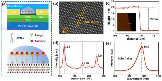 Biosensors 13 00193 g001