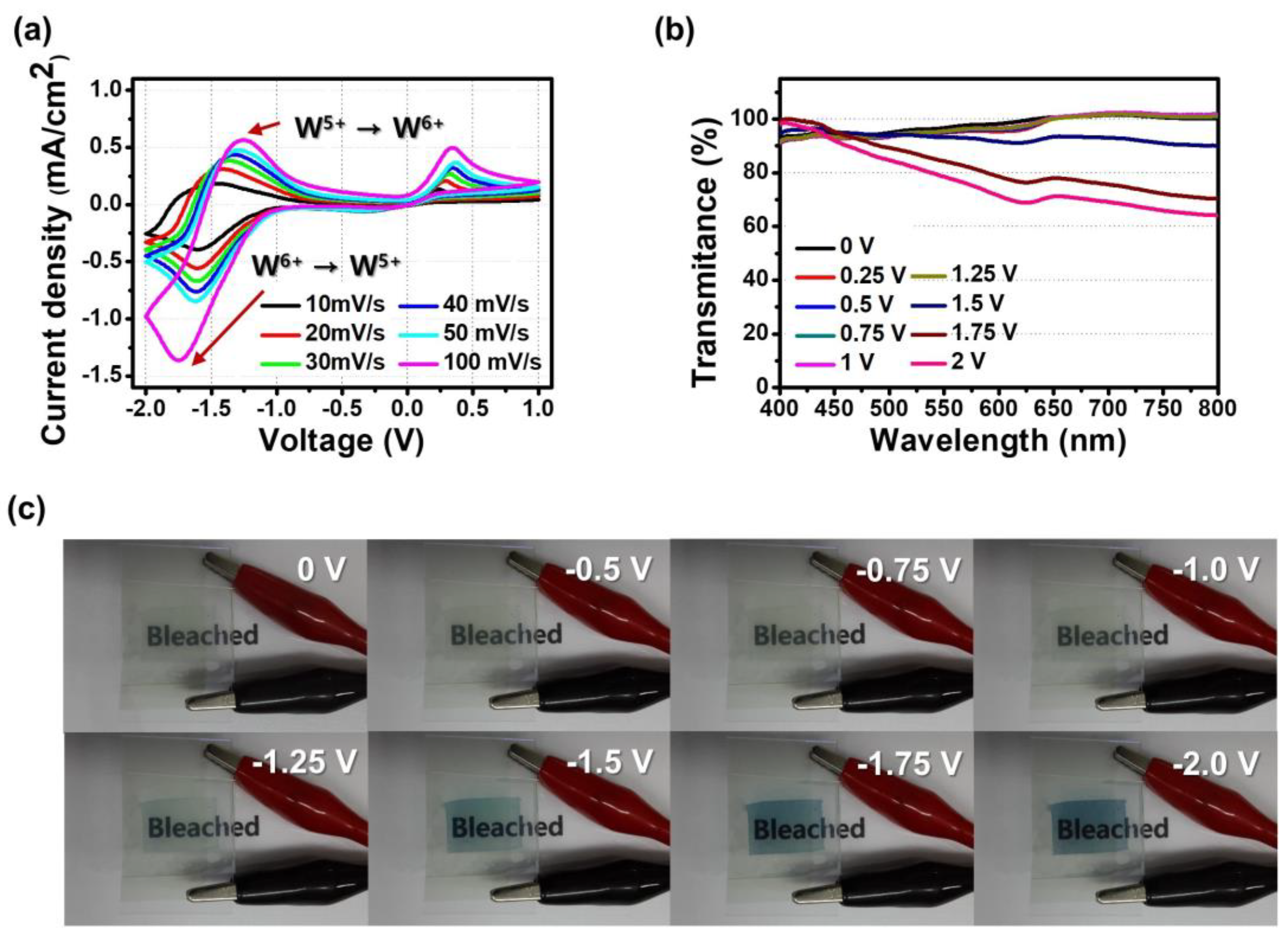 Biosensors 13 00194 g004