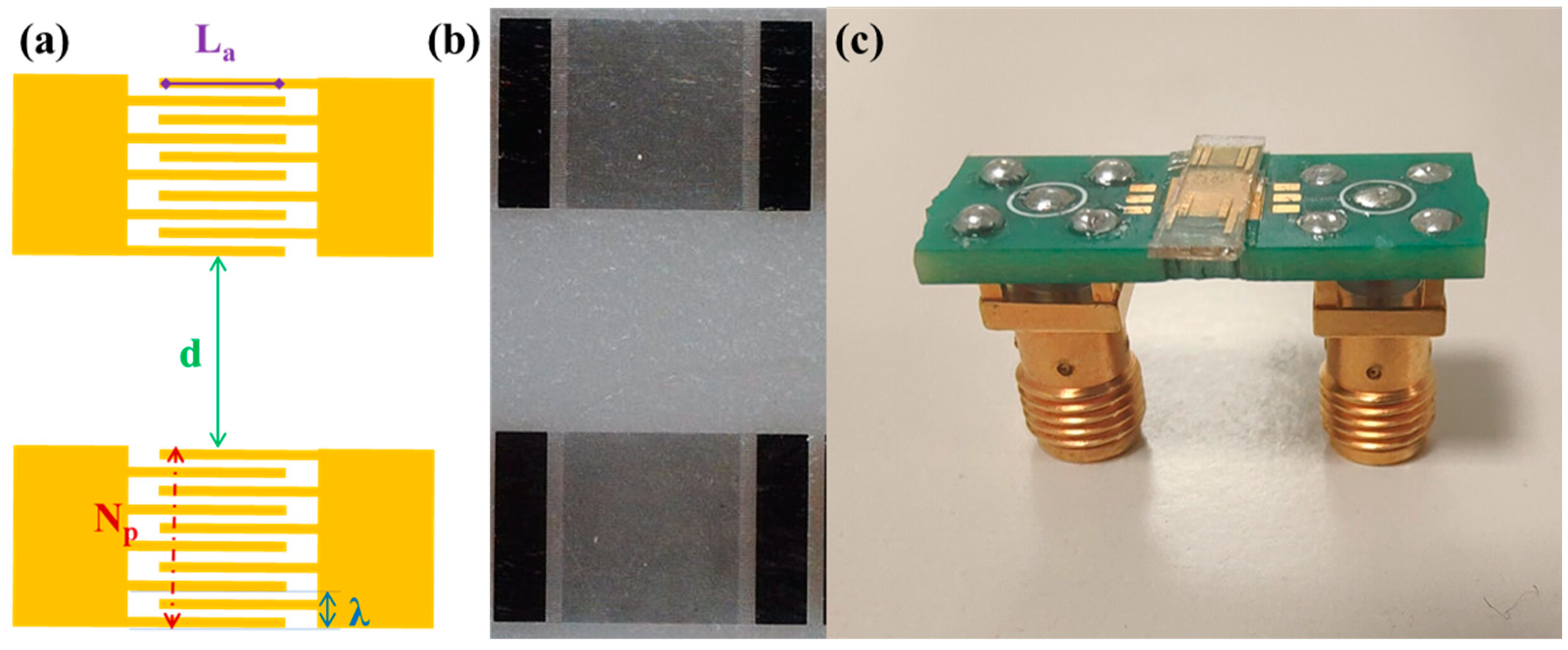 Biosensors 13 00197 g001 Biosensors 13 00197 g001