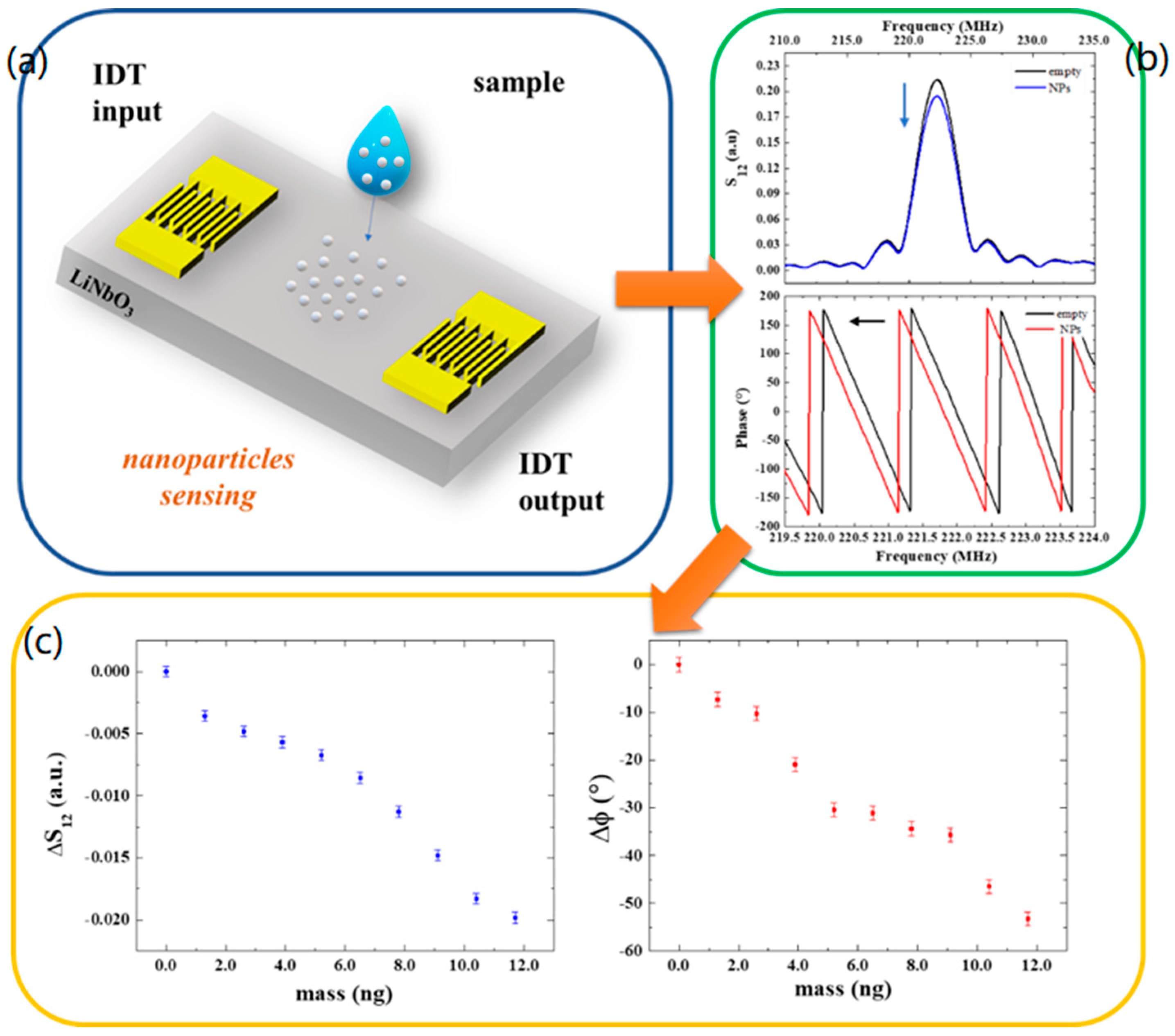 Biosensors 13 00197 g003 Biosensors 13 00197 g003