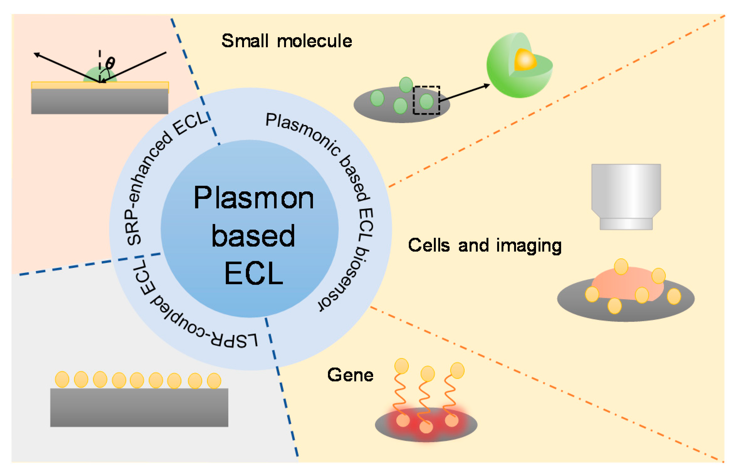 Biosensors 13 00200 g002