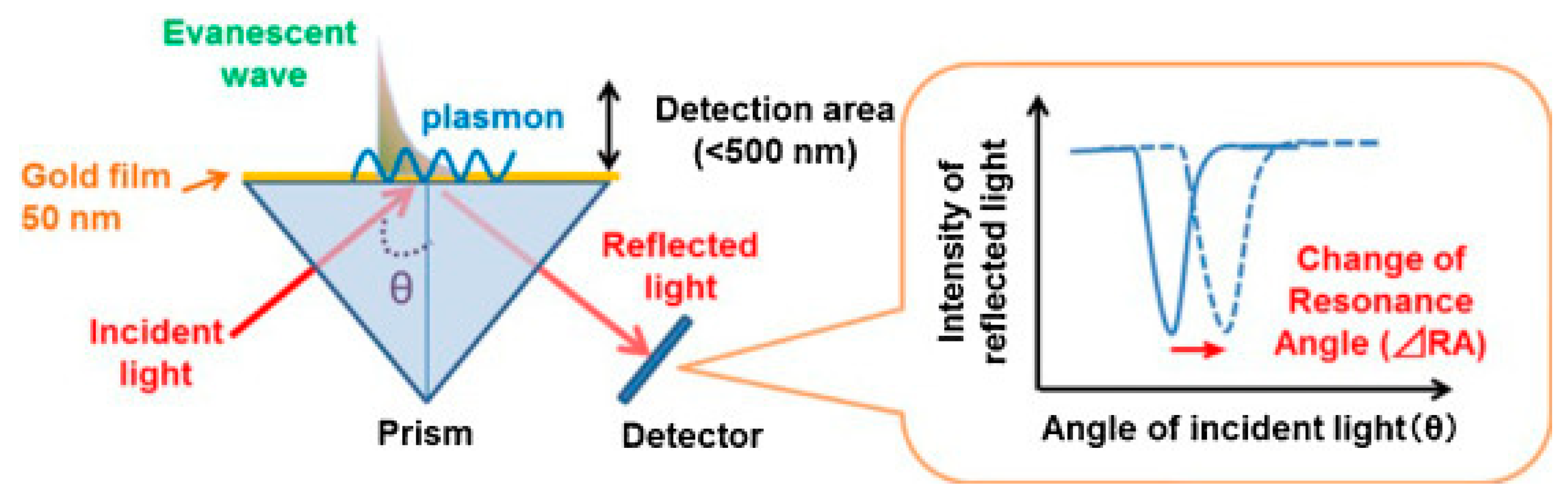 Biosensors 13 00200 g003