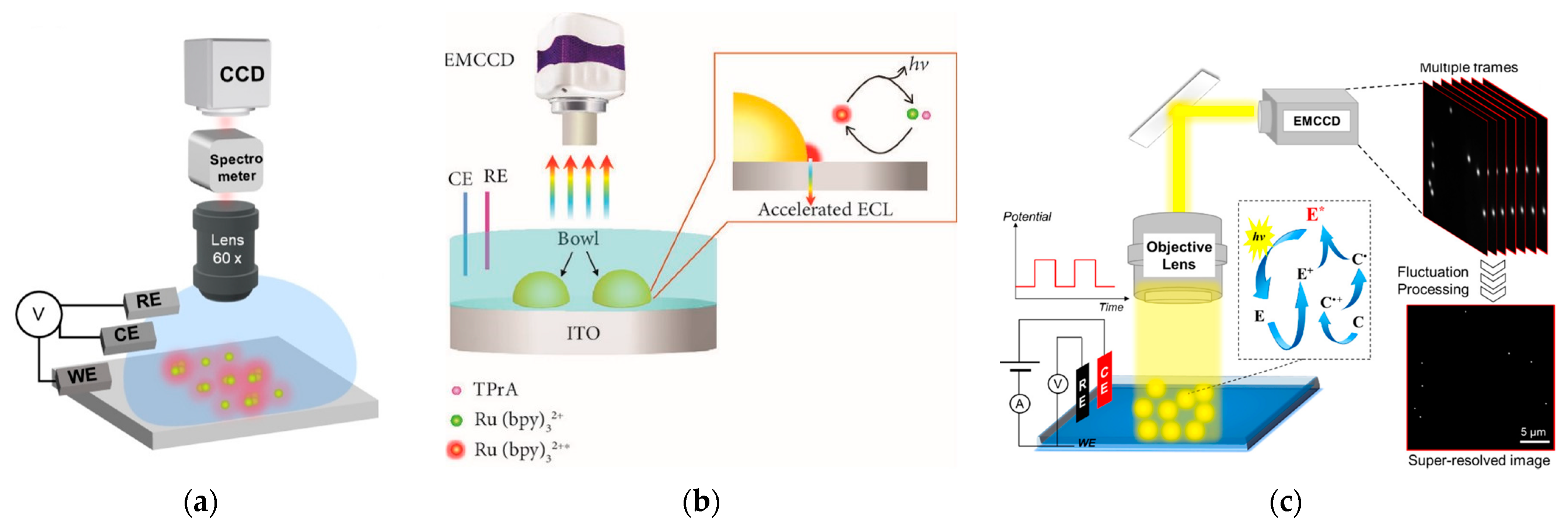 Biosensors 13 00200 g005