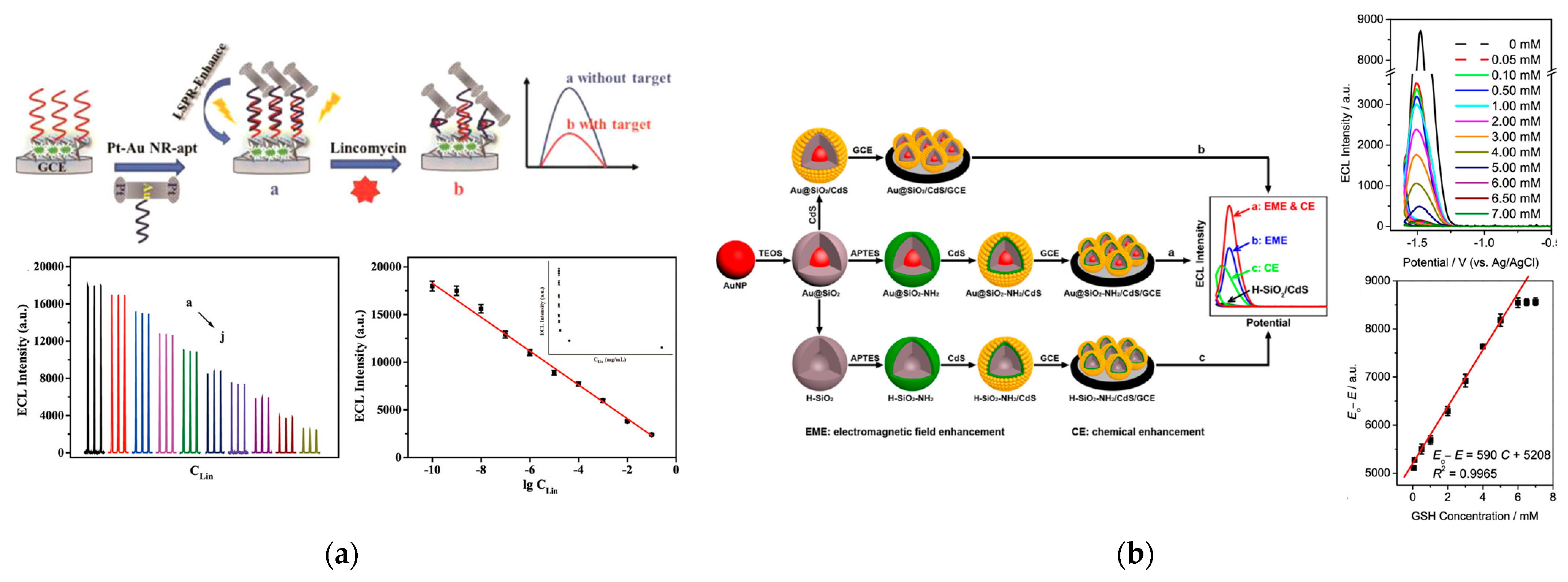 Biosensors 13 00200 g006