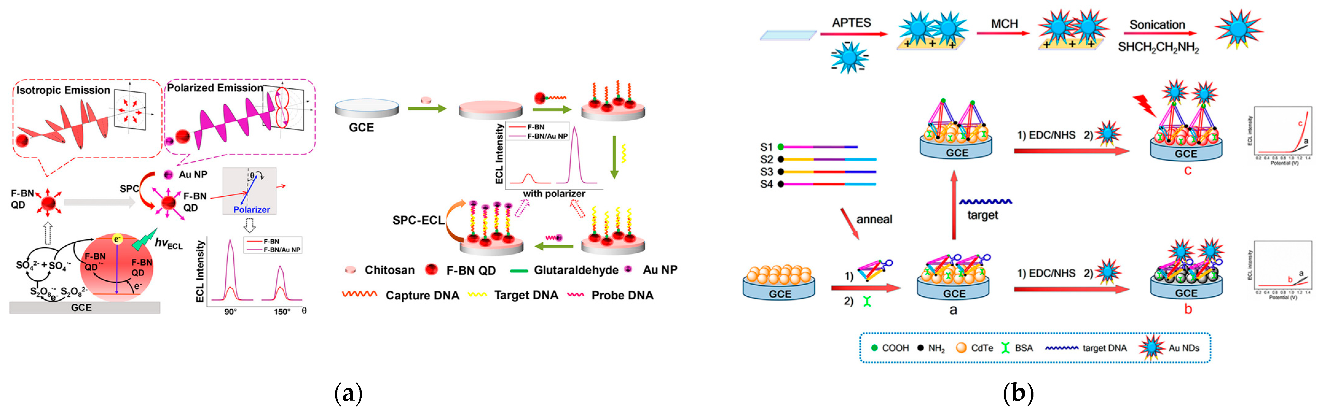 Biosensors 13 00200 g007a