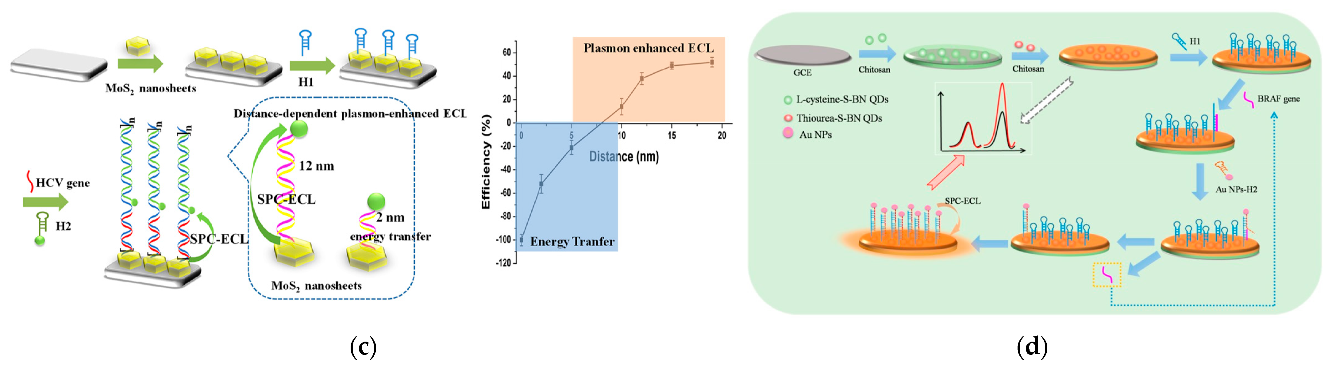 Biosensors 13 00200 g007b