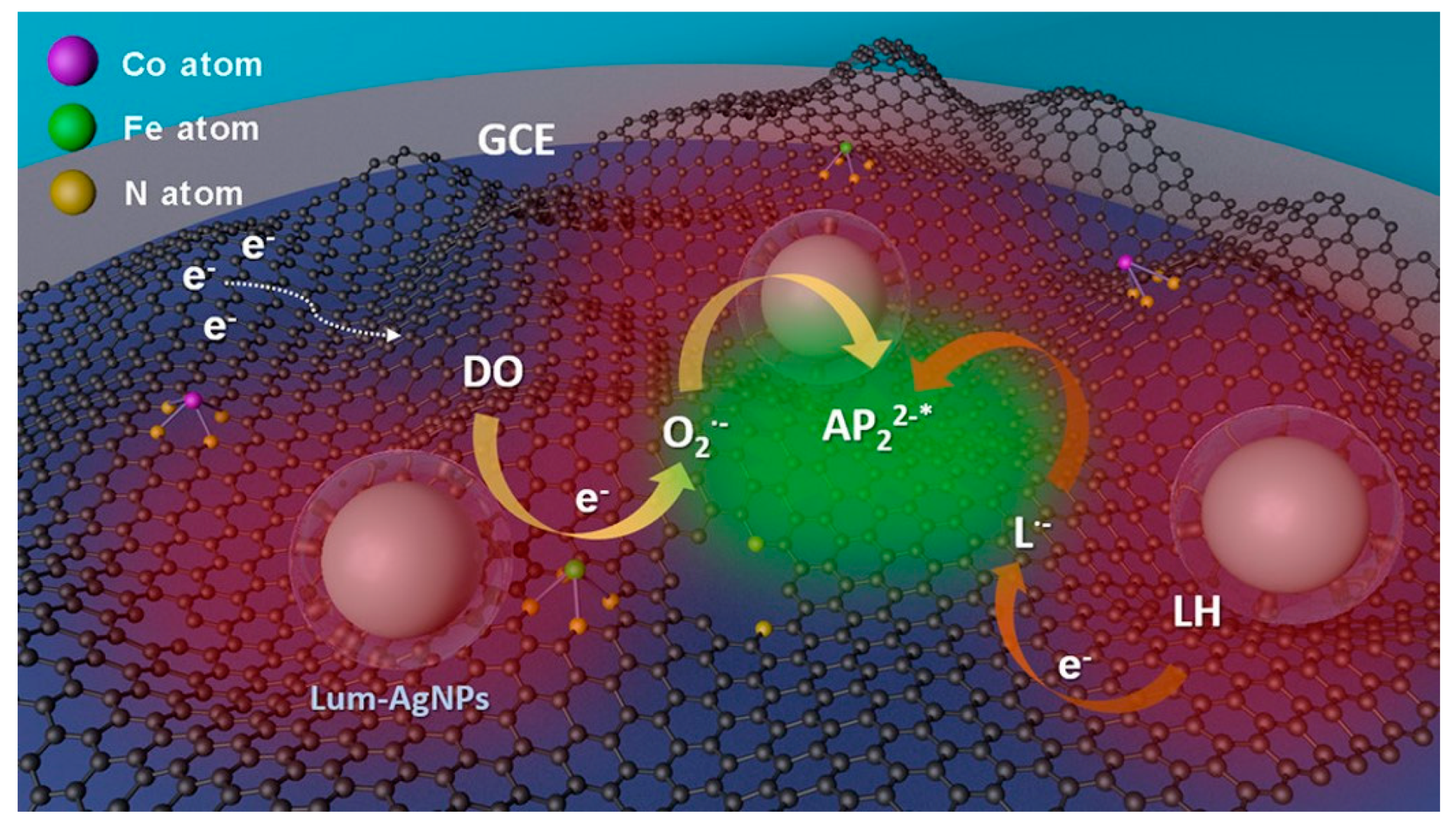 Biosensors 13 00200 g008