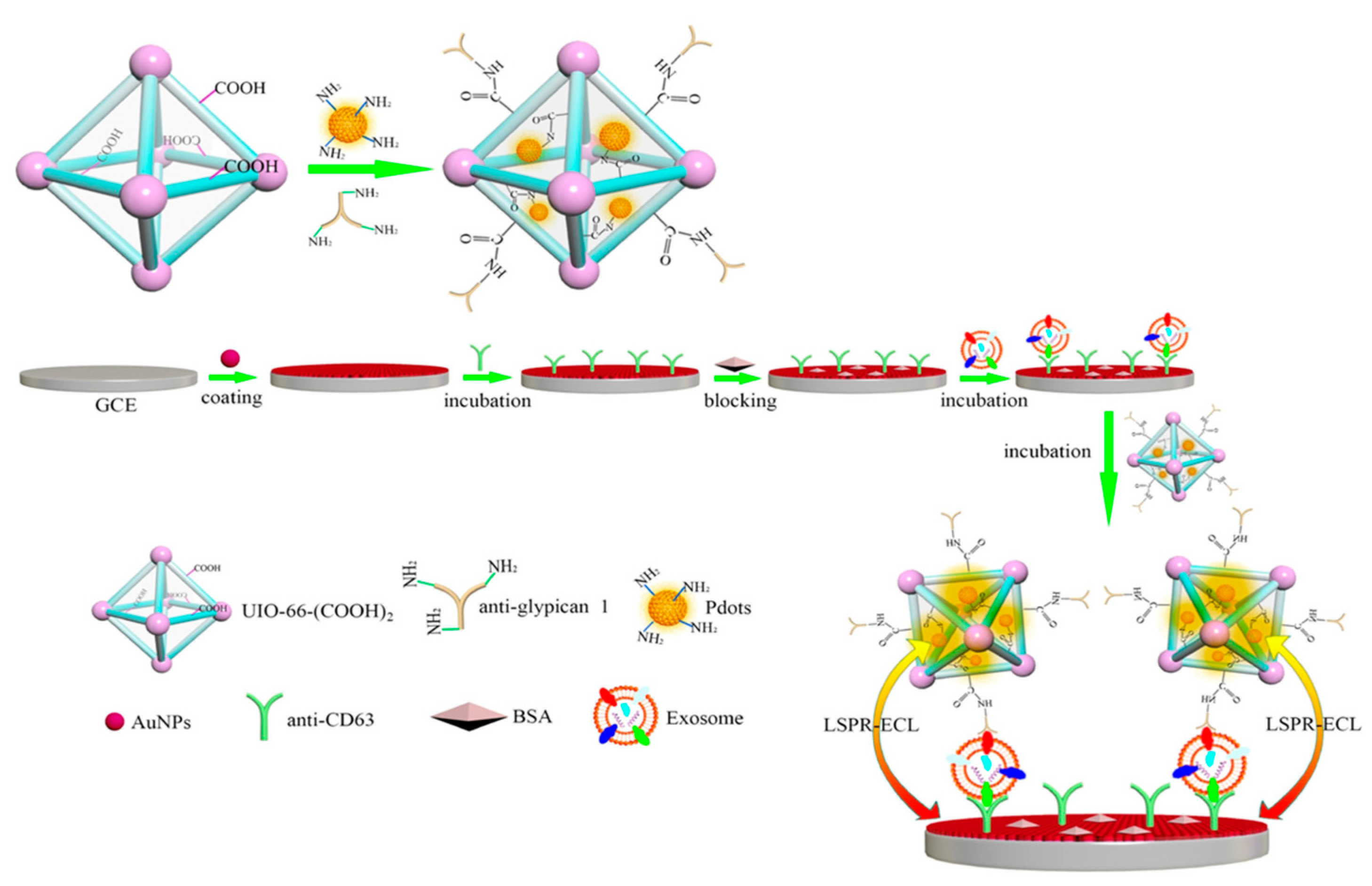 Biosensors 13 00200 g009