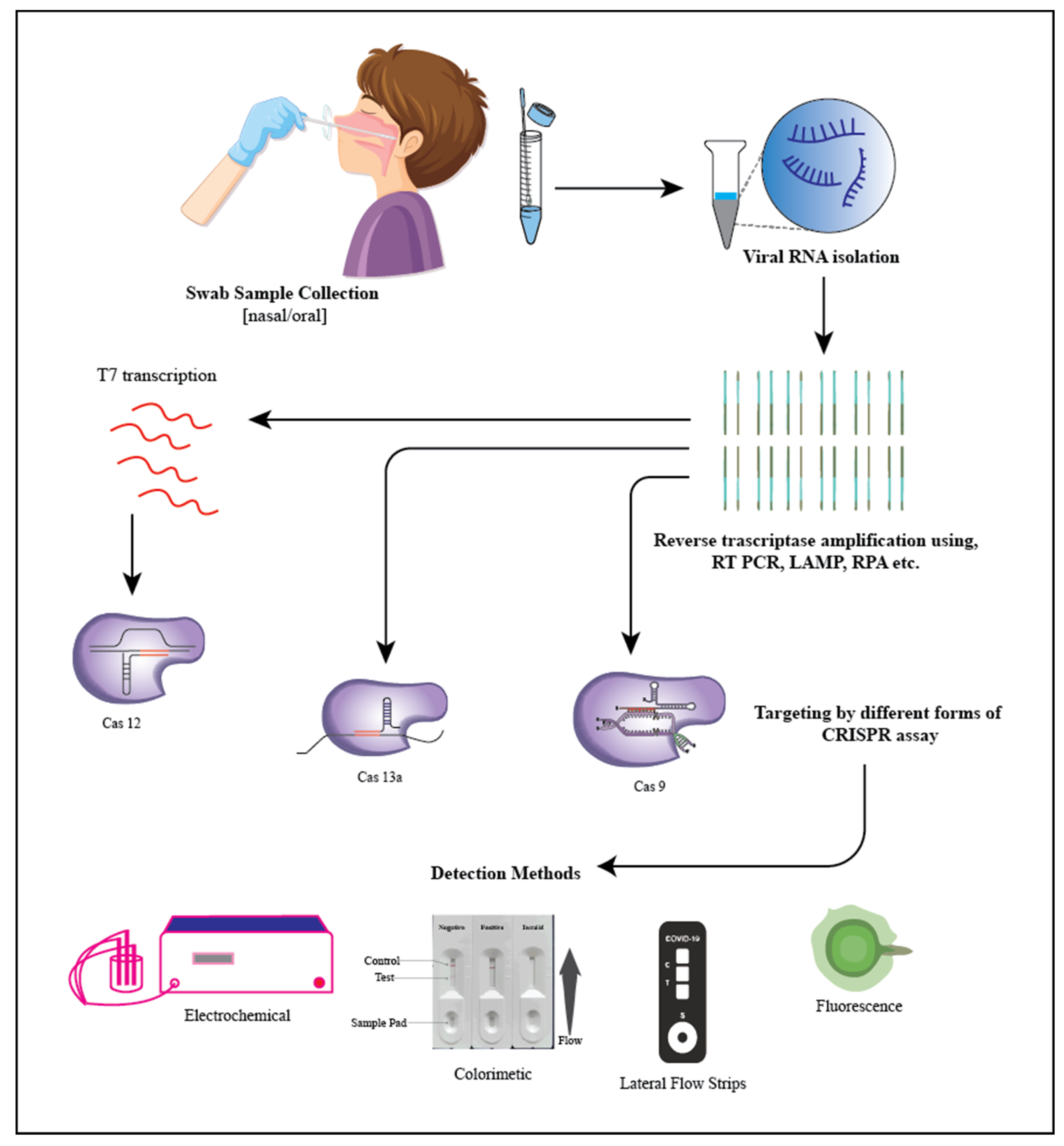 Biosensors 13 00202 g003